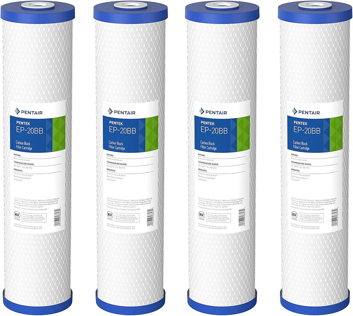 Pentair Pentek EP-20BB Big Blue Carbon Water Filter for Home