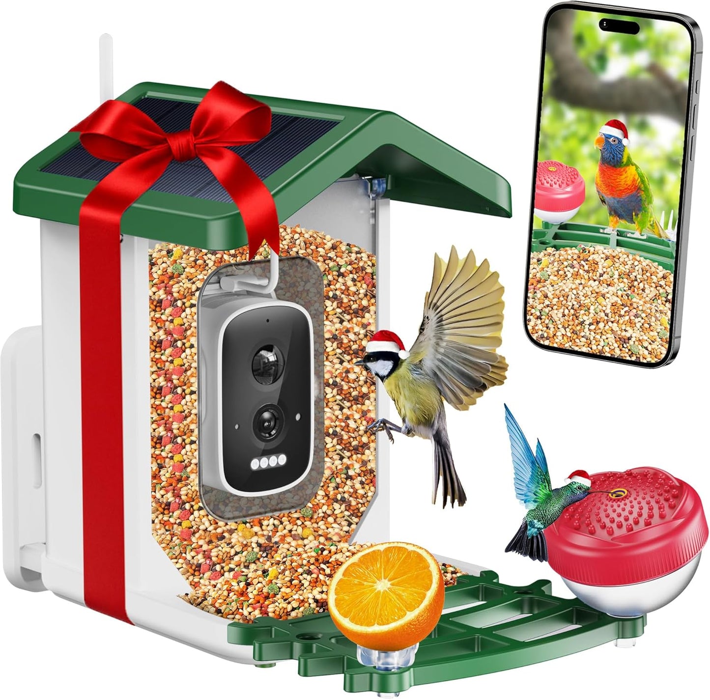 Bird Feeder with Camera for Backyard Birdwatching Fun