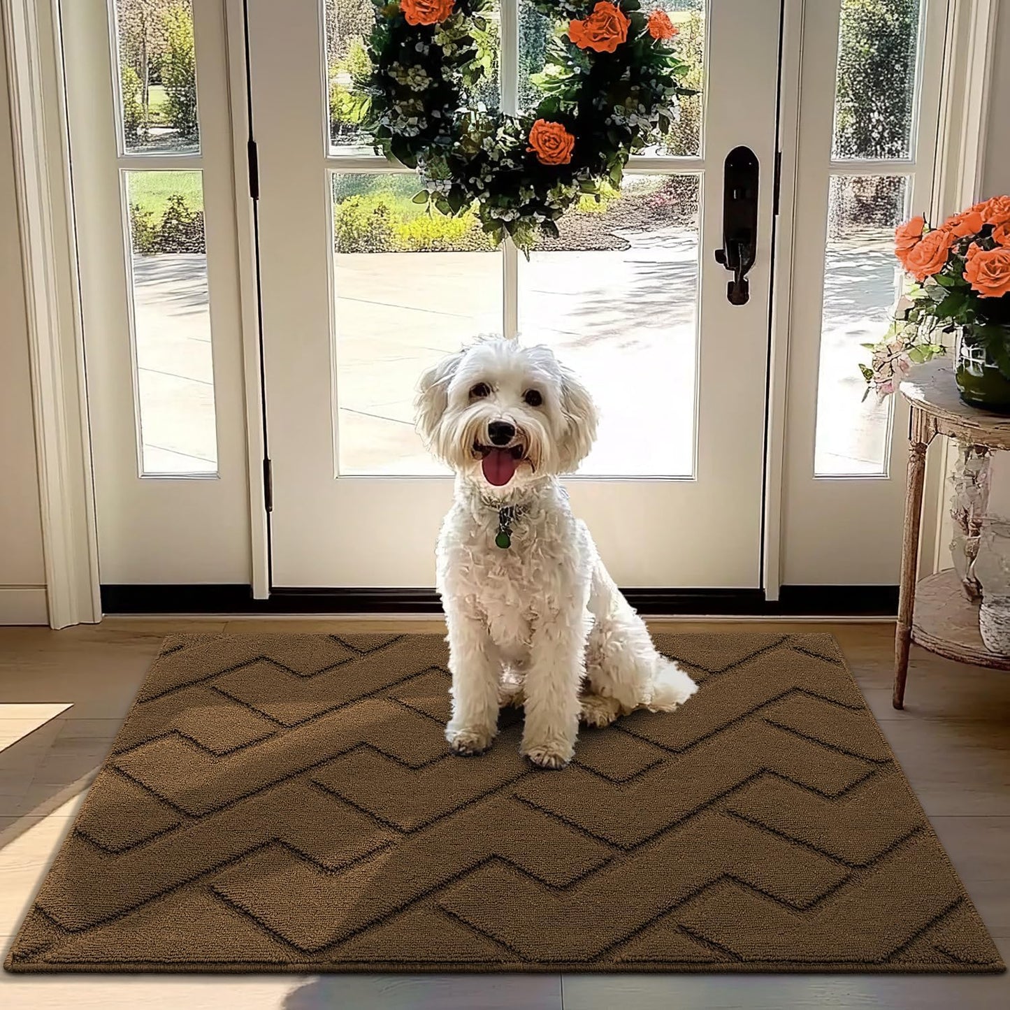 hicorfe Front Door Mat - Absorbent Muddy Dirt Resist Doormat