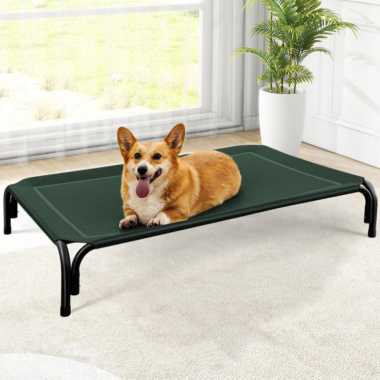 Elevated Dog Bed for Medium Dogs - Portable Cooling Pet Cot