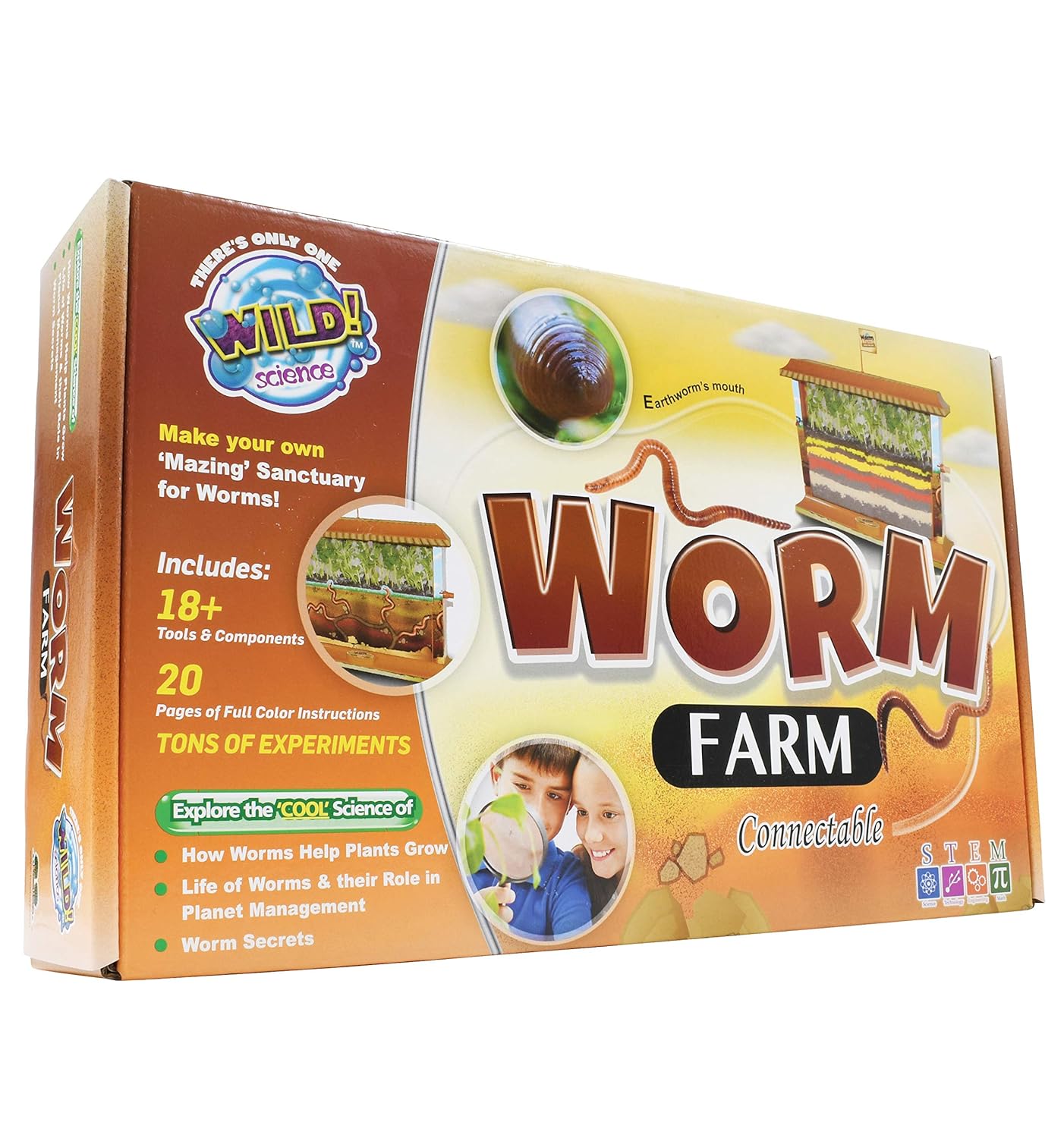 Interactive Worm Farm Kit - Hands-On Learning