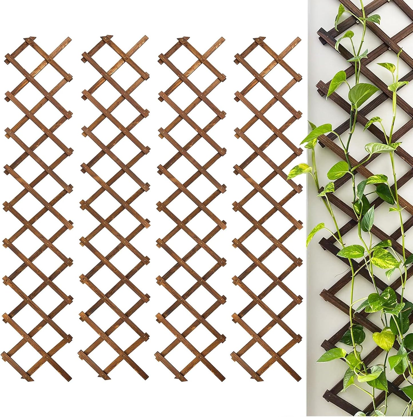 Wooden Lattice Wall Trellis for Climbing Plants and Decor
