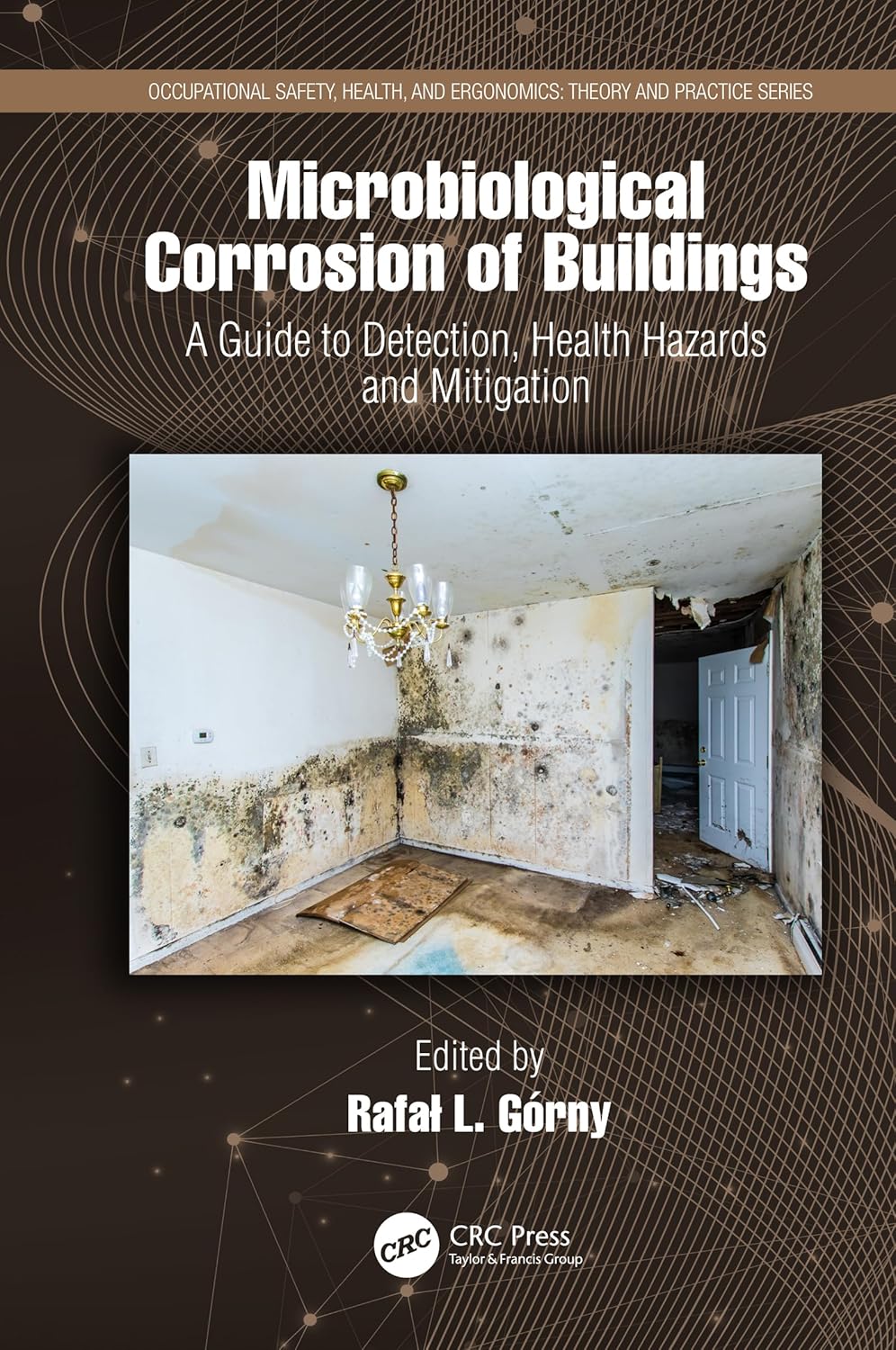Microbiological Corrosion of Buildings: Essential Insights for Safety