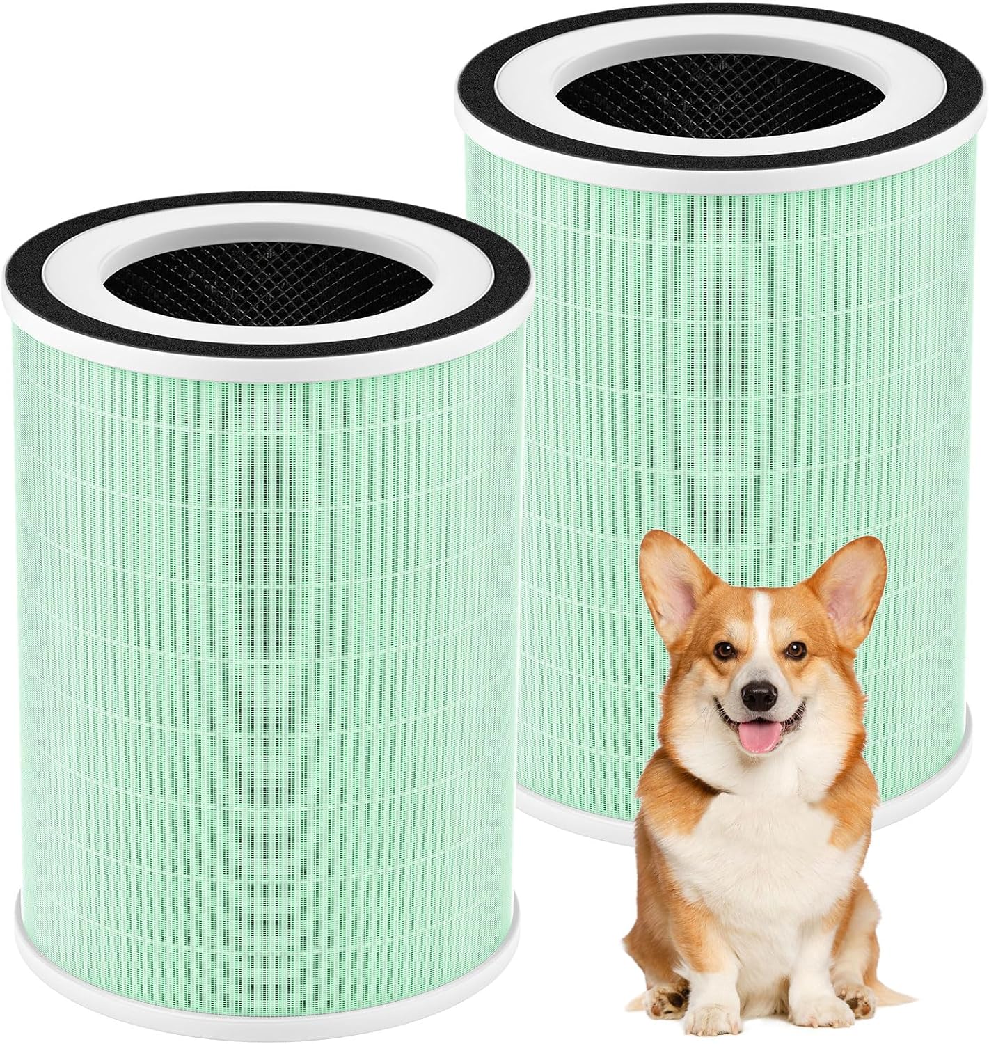 2 Pack True HEPA Filter for Afloia KILO Air Purifier
