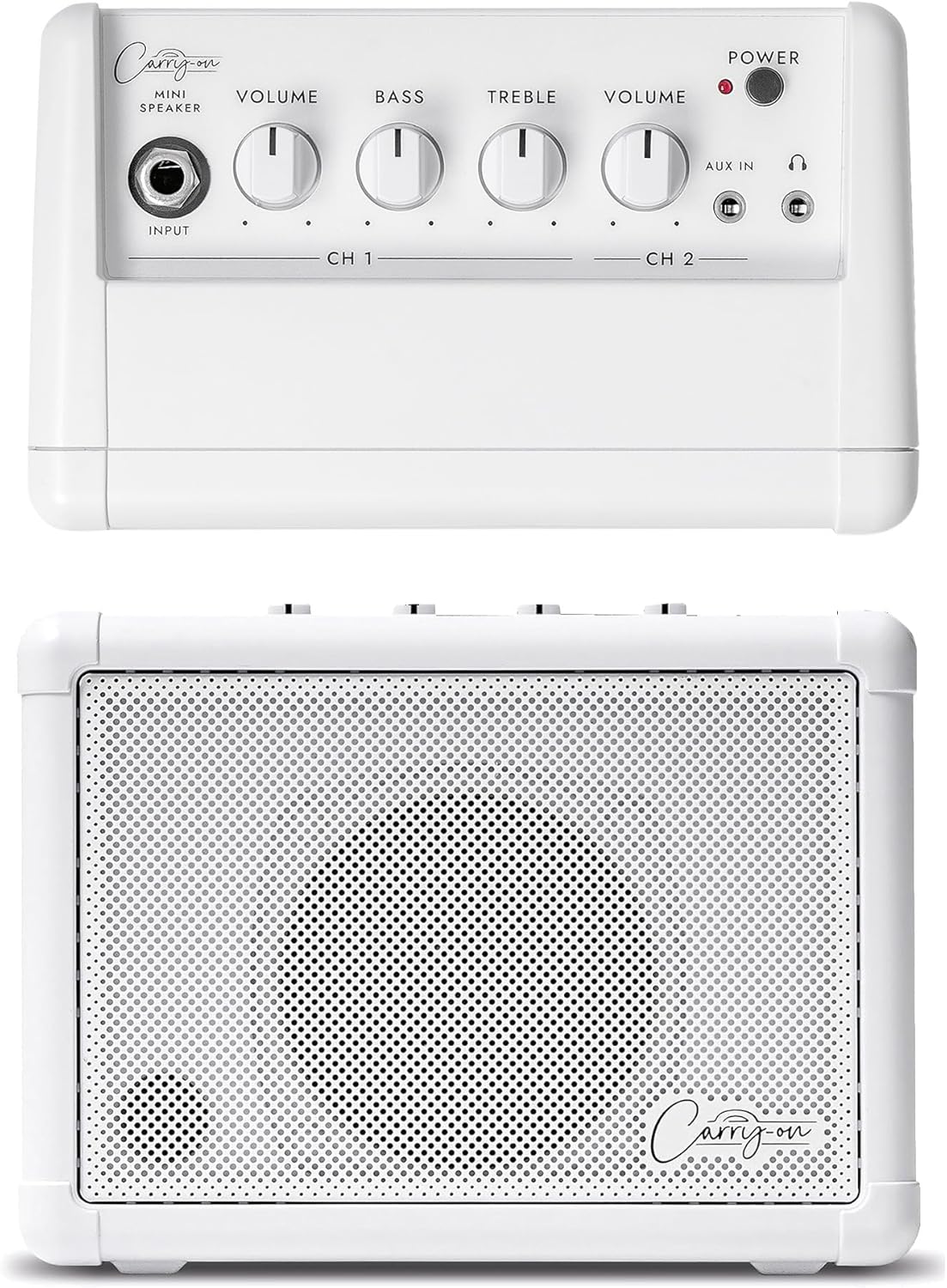 Portable Dual Input Mini Speaker