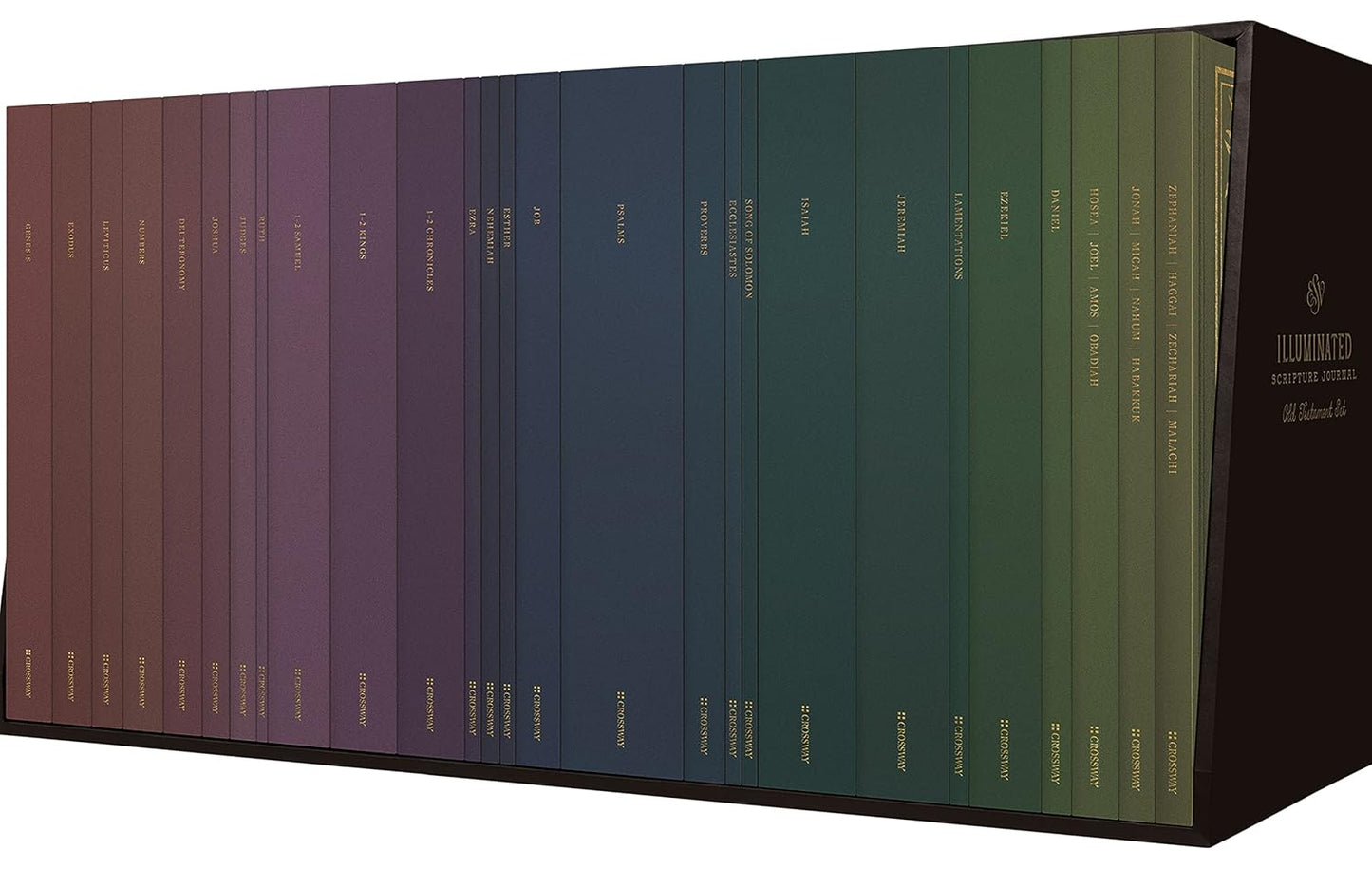 ESV Illuminated Scripture Journal Old Testament Set for Reflection