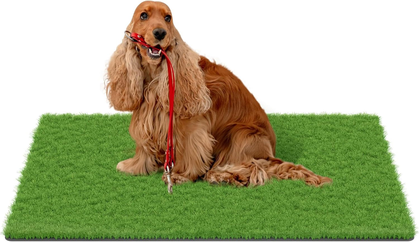 MAYSHINE Fake Grass for Dogs - Soft Indoor Outdoor Turf Mat