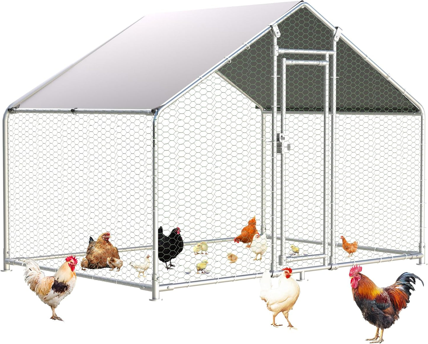 Spacious Metal Chicken Coop for Happy Birds