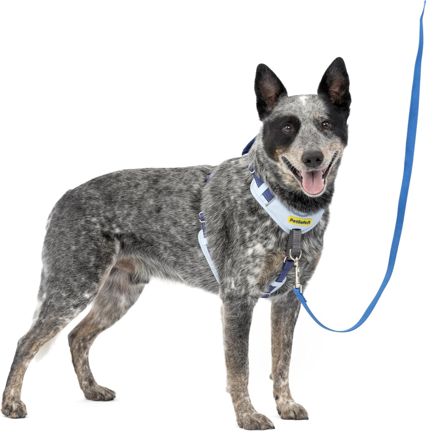 PetSafe Easy Walk Comfort No-Pull Dog Harness for Better Training