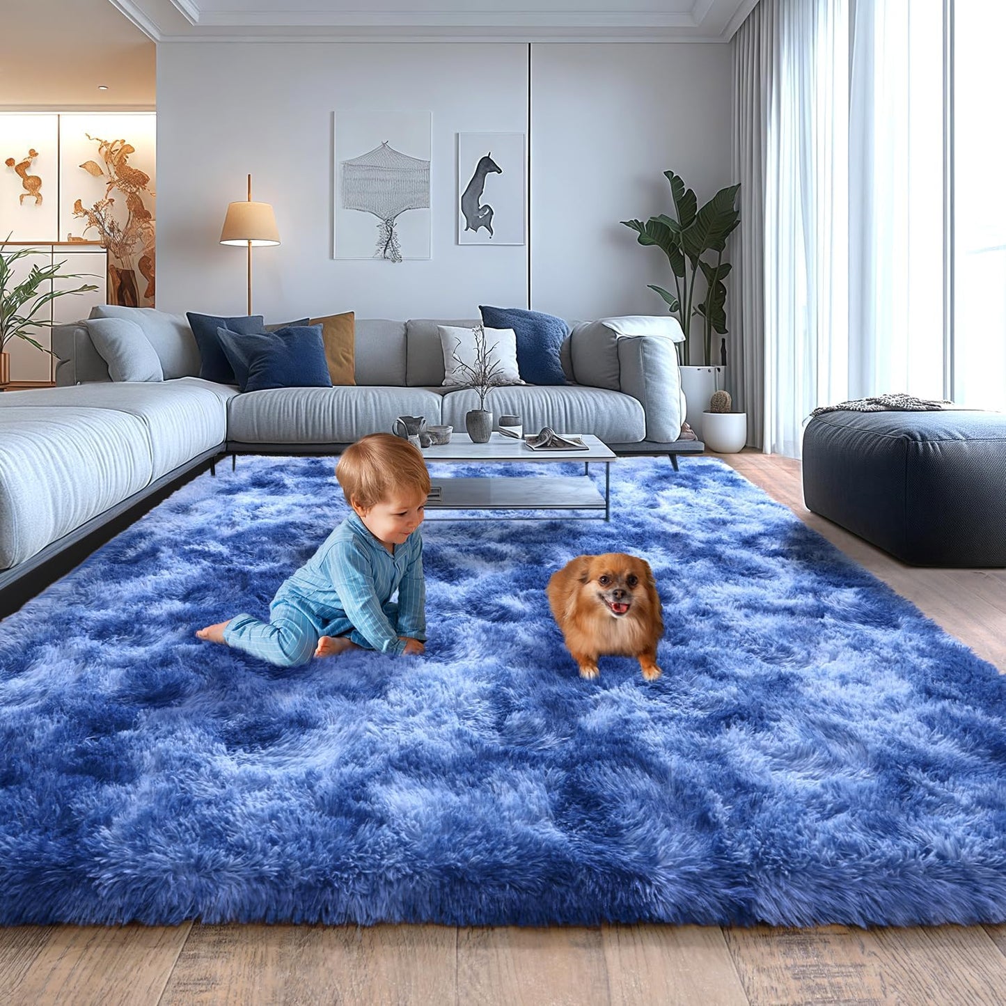Plush Rugs for Living Room - Soft Shaggy Carpets 5x7 Feet