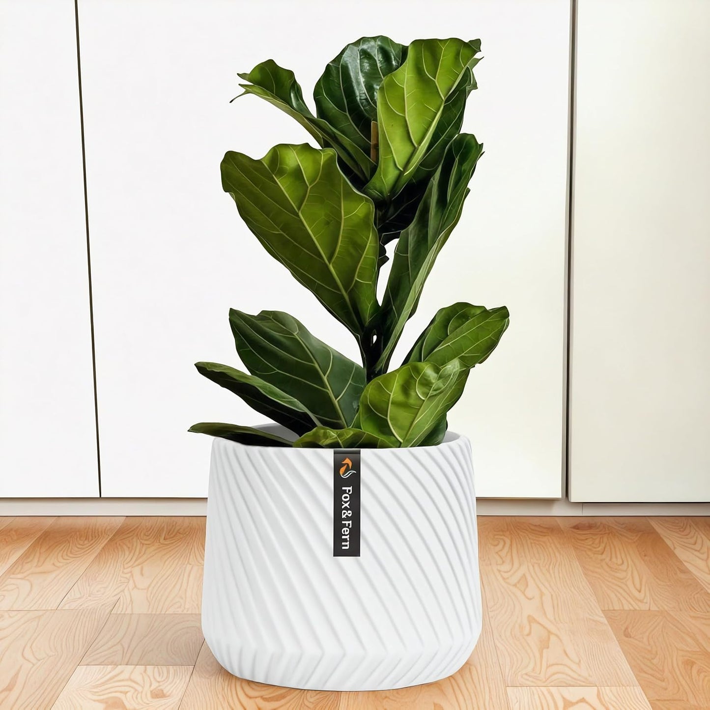 Large 12 Inch Planter with Drainage Plug for Indoor & Outdoor Use