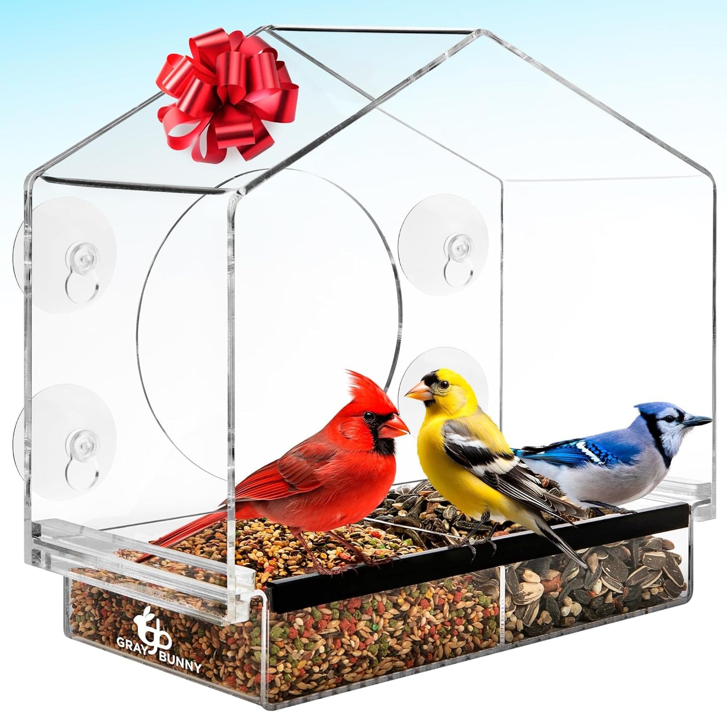 Window Bird Feeder with Strong Suction Cups for Bird Watching