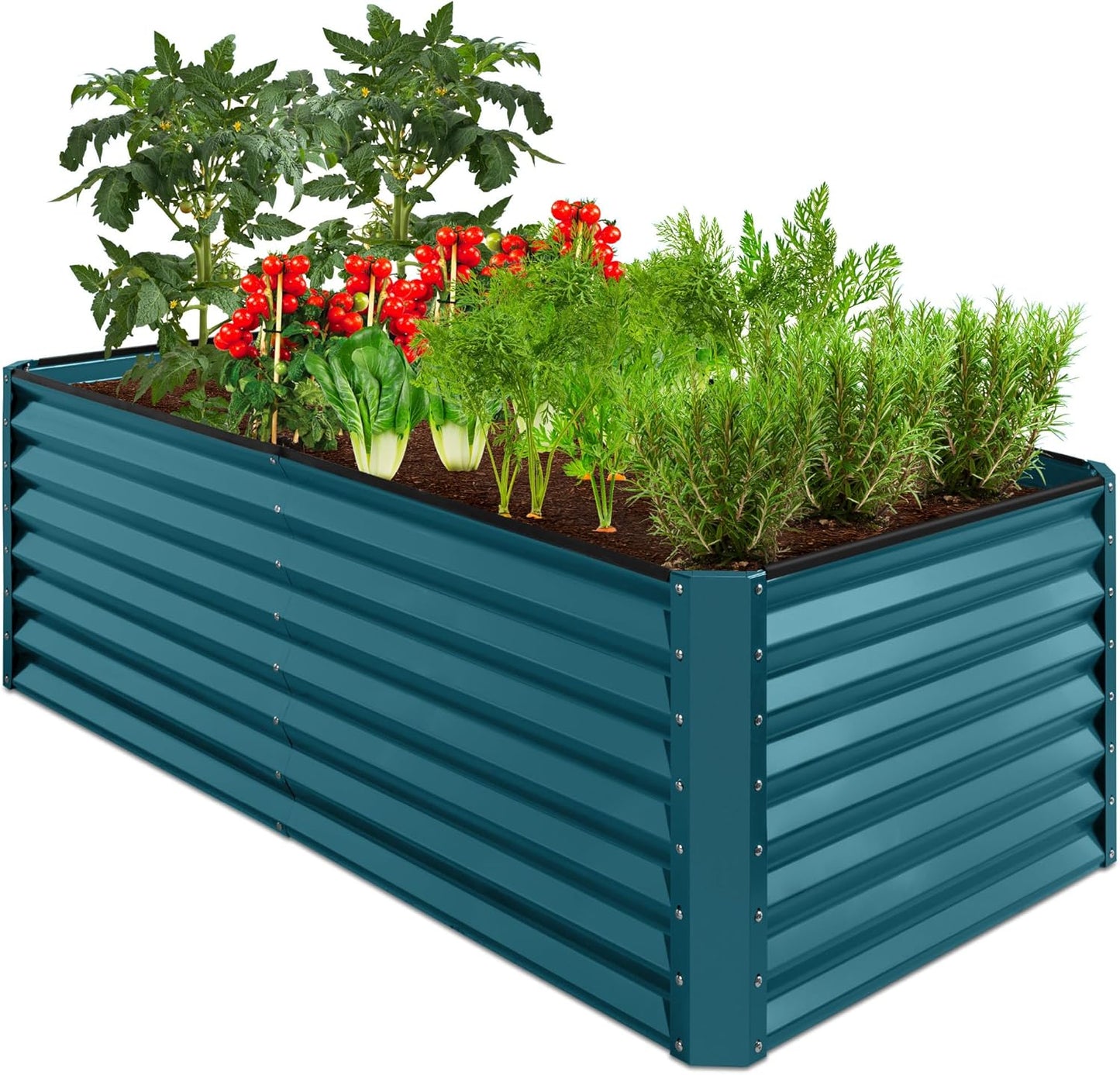 Outdoor Metal Raised Garden Bed for Vegetables and Flowers