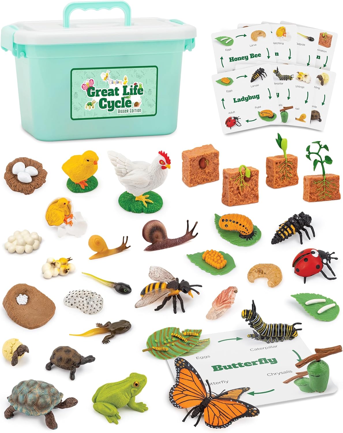 Montessori Life Cycle Science Kit: Realistic Animal Matching Game - 32-piece Fun Learning Toys