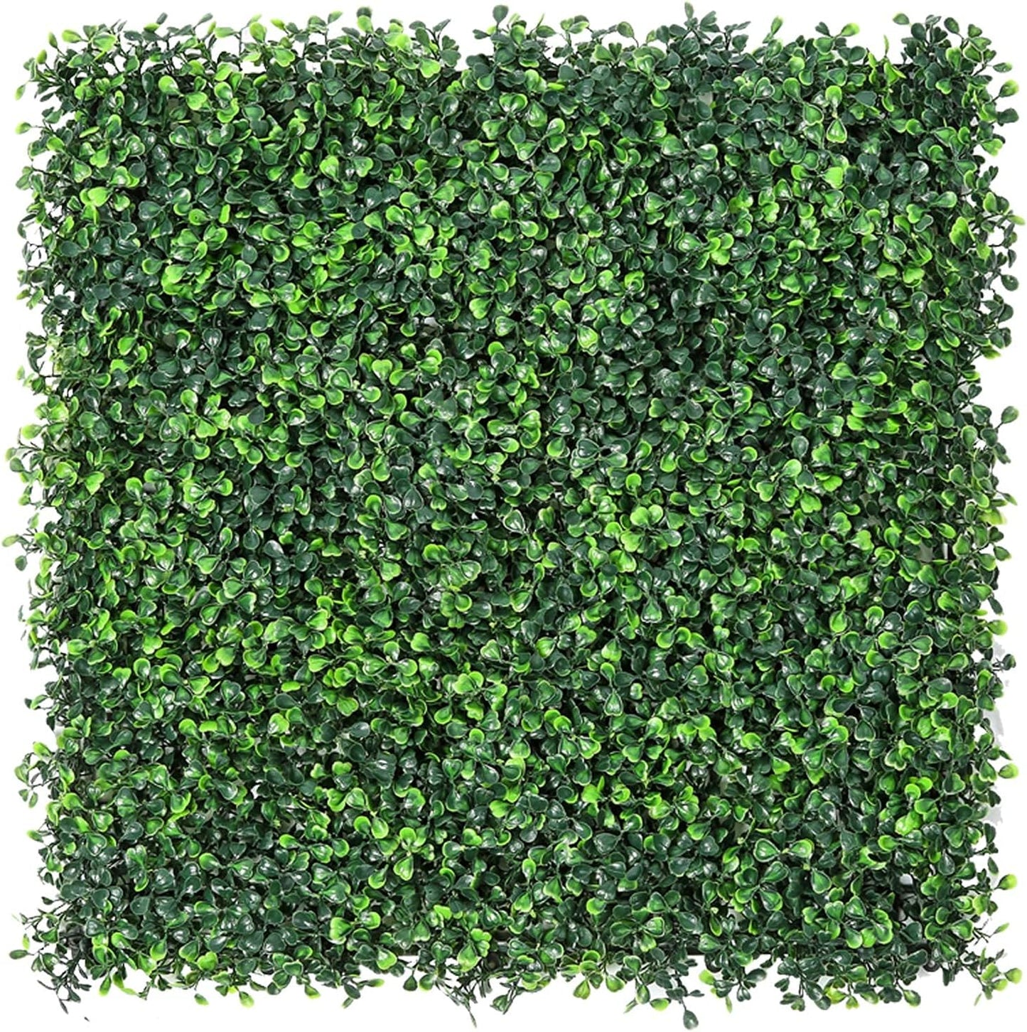 Artificial Boxwood Panels for Privacy Hedge - 12 Pieces 10x10