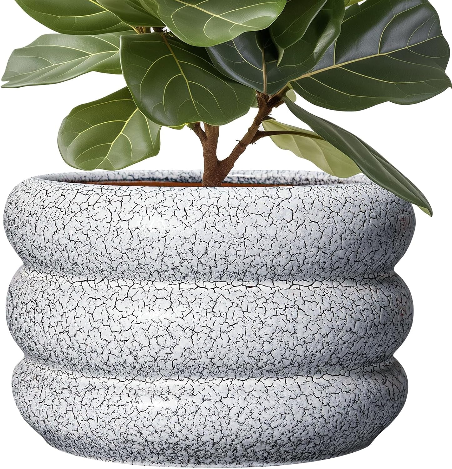 SQOWL Ceramic Plant Pots - 13.5 Inch Modern Planter for Decor