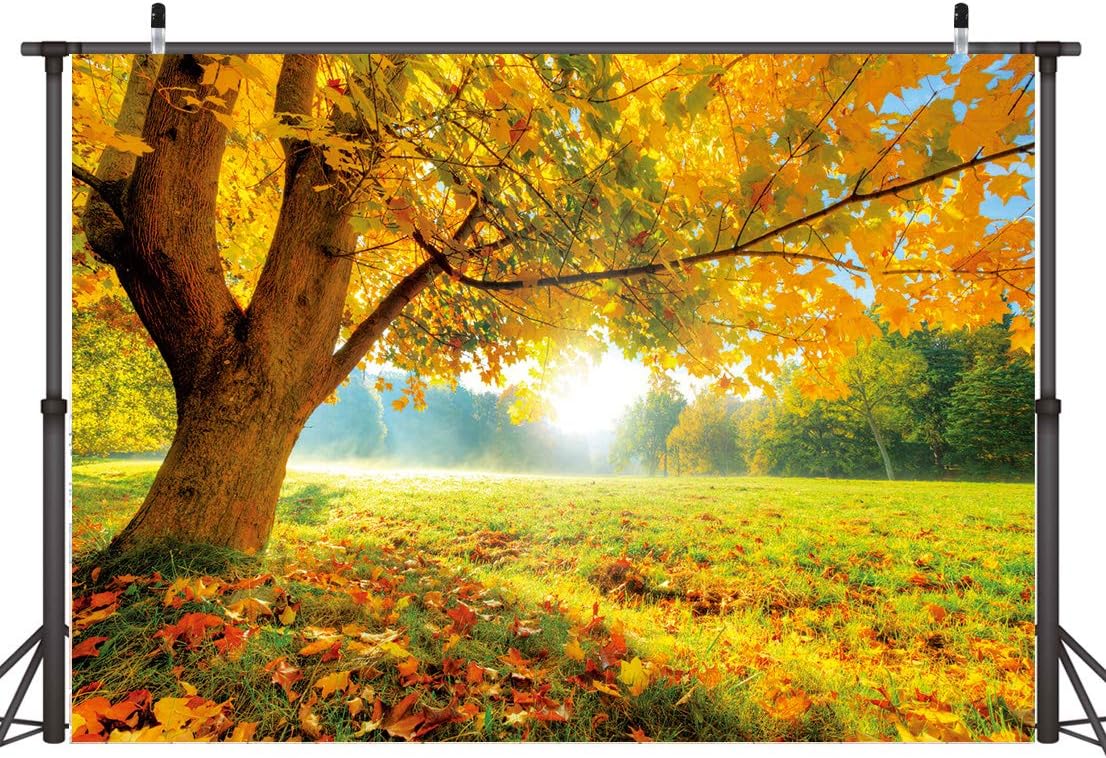 10x8FT Autumn Golden Maple Photography Background for Events