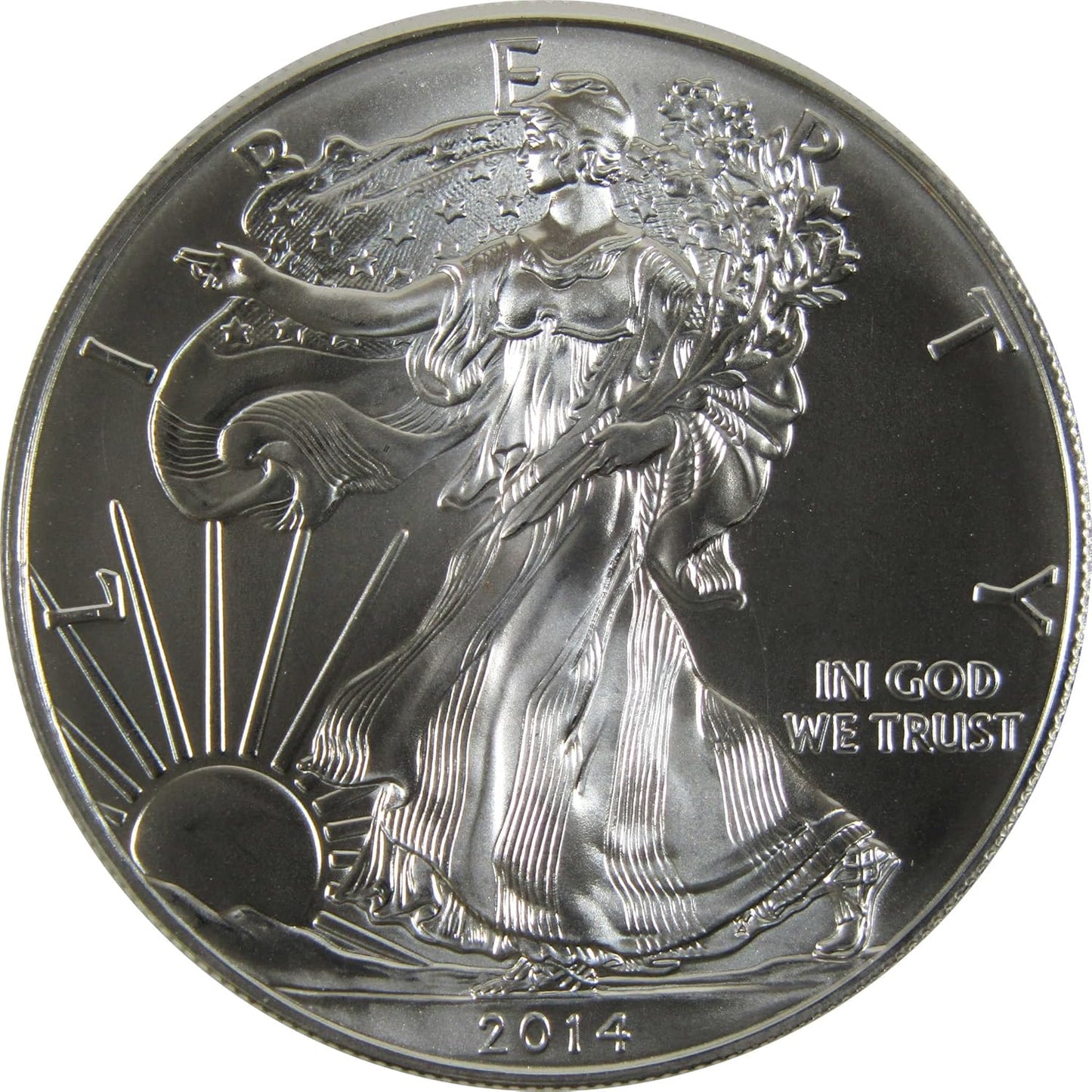 2014 American Silver Eagle Uncirculated Bullion Coin Review