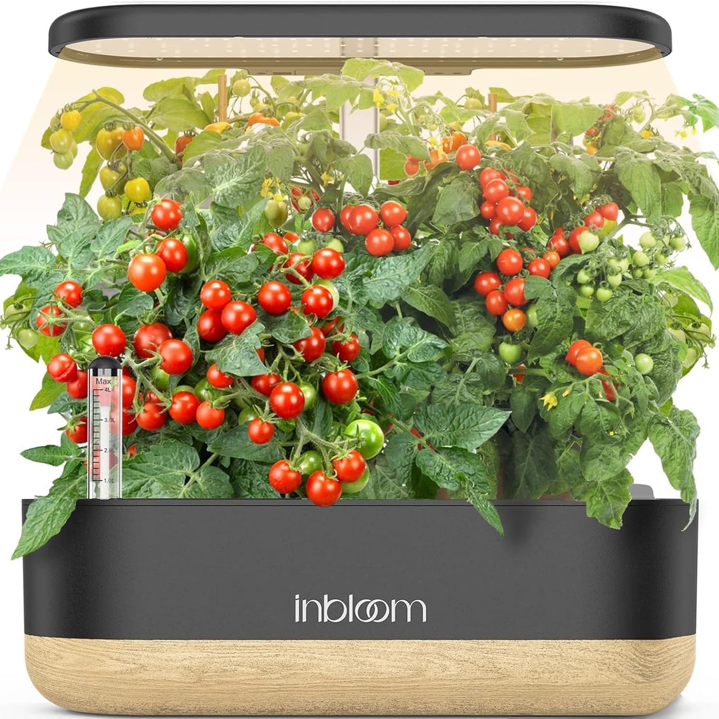 inbloom Hydroponics Growing System for Indoor Herb Garden