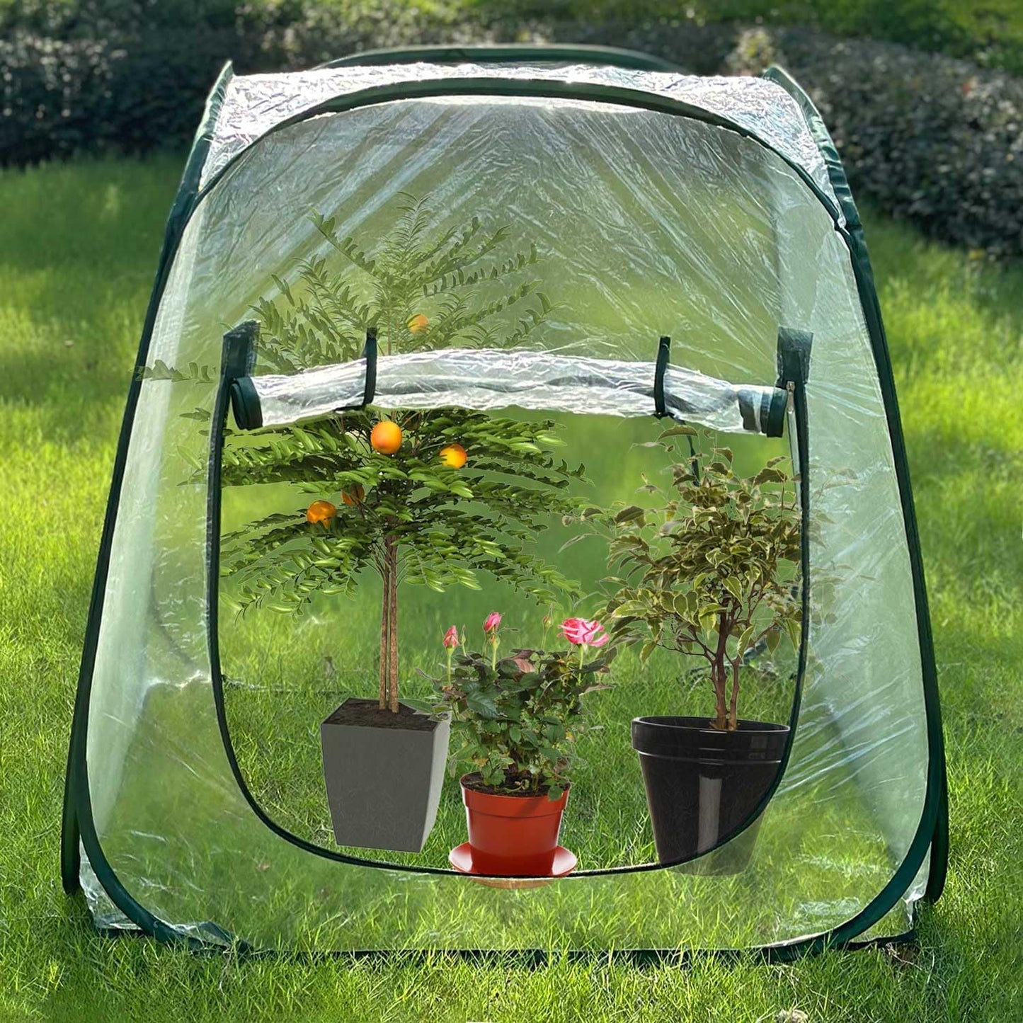 Portable Mini Greenhouse Protects Plants