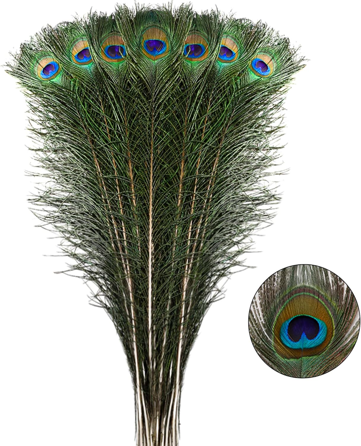 Larryhot Long Peacock Feathers Bulk for Floral Arrangements