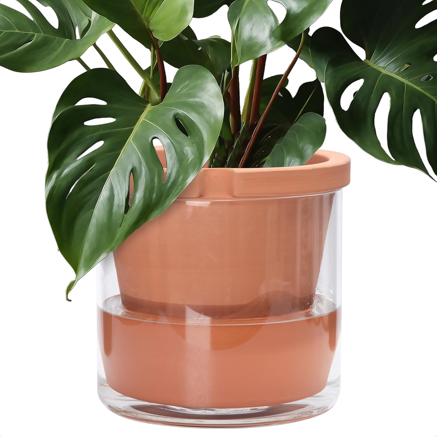 D'vine Dev 10 Inch Self Watering Pot for Indoor Plants
