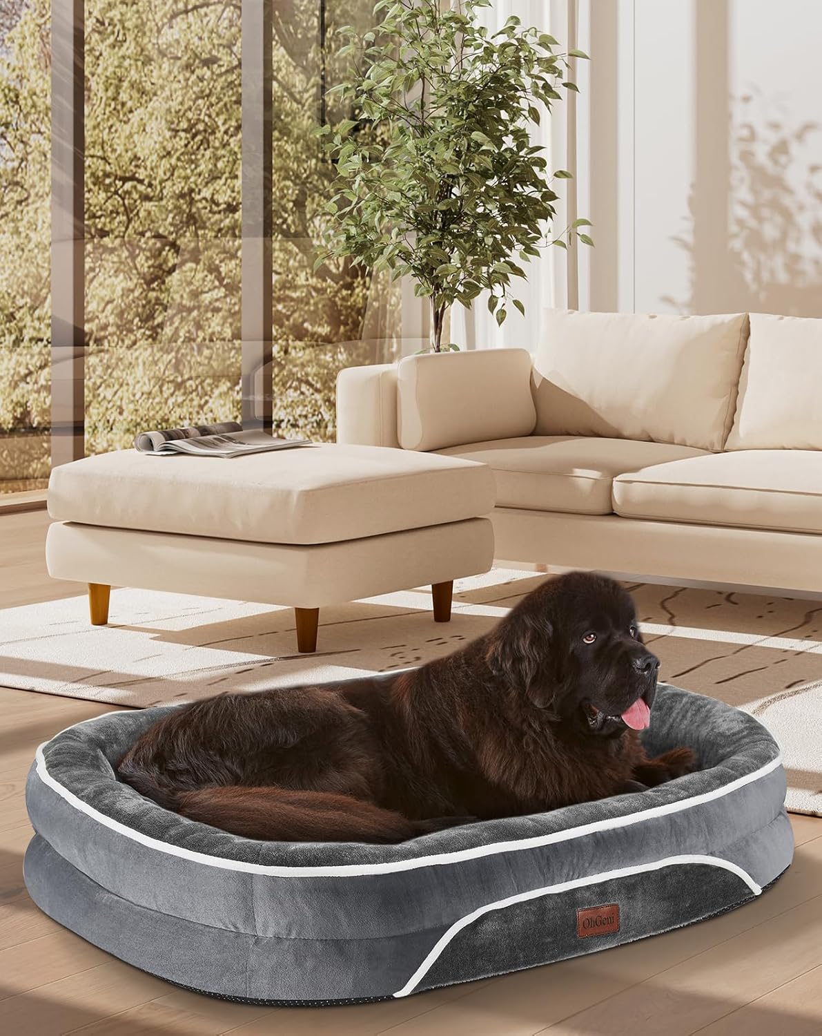 OhGeni Orthopedic Jumbo Dog Couch Pet Sofa for Comfort and Support
