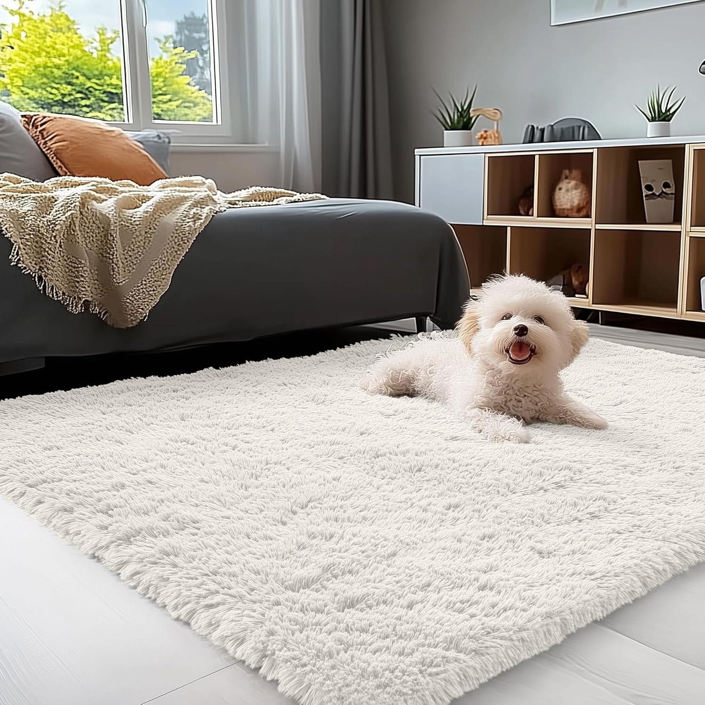 OLANLY 3x5 Machine Washable Soft Fluffy Shaggy Rug for Home