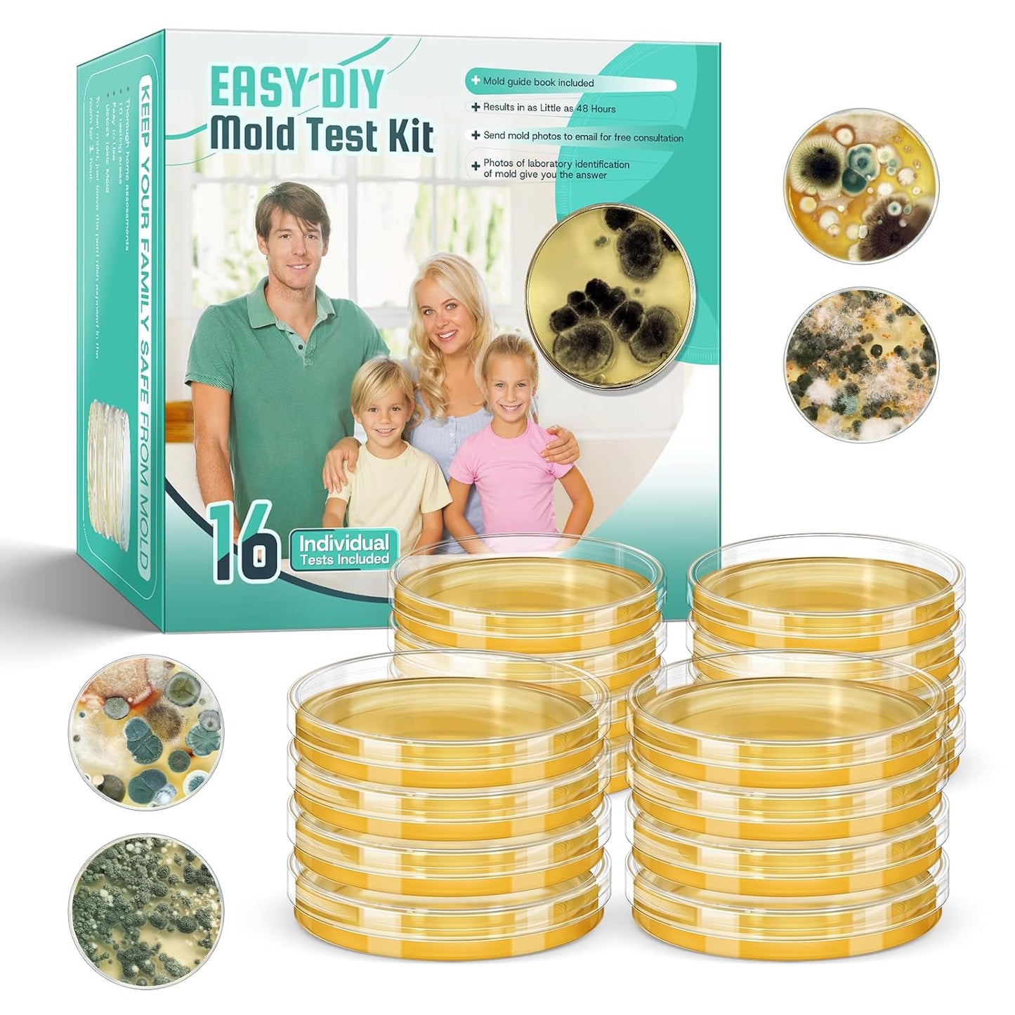 Mold Test Kit for Home Detection: Fast and Reliable Results