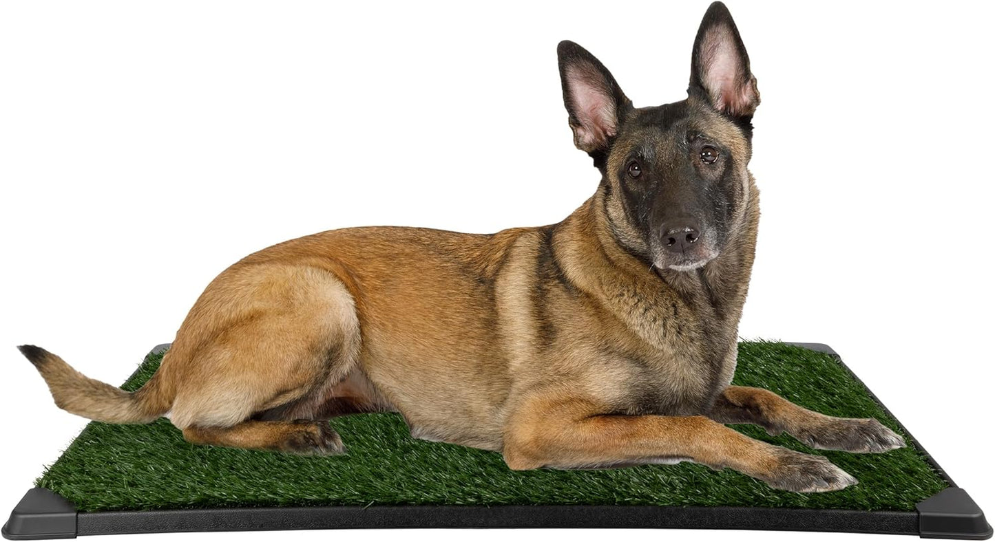 Set of 3 Reusable Pee Pads for Dogs - Perfect for Training
