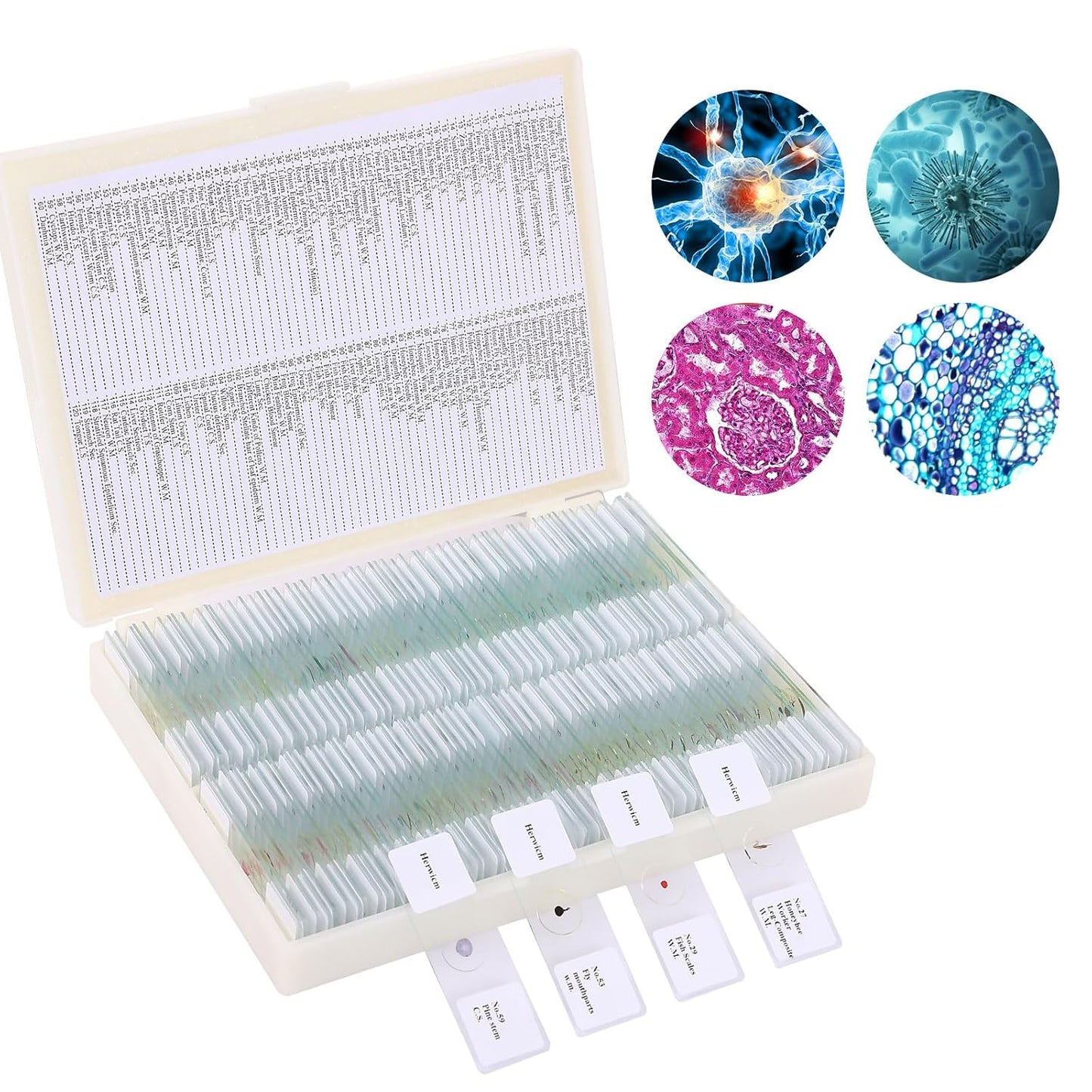 120 Microscope Slides with Specimens for Biological Science