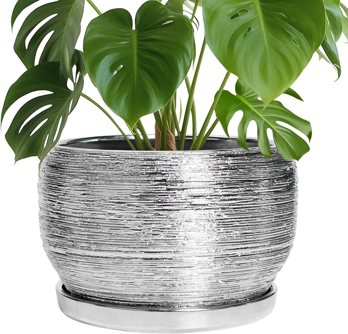 SQOWL Ceramic Pot for Plants - 10 Inch Decorative Planter