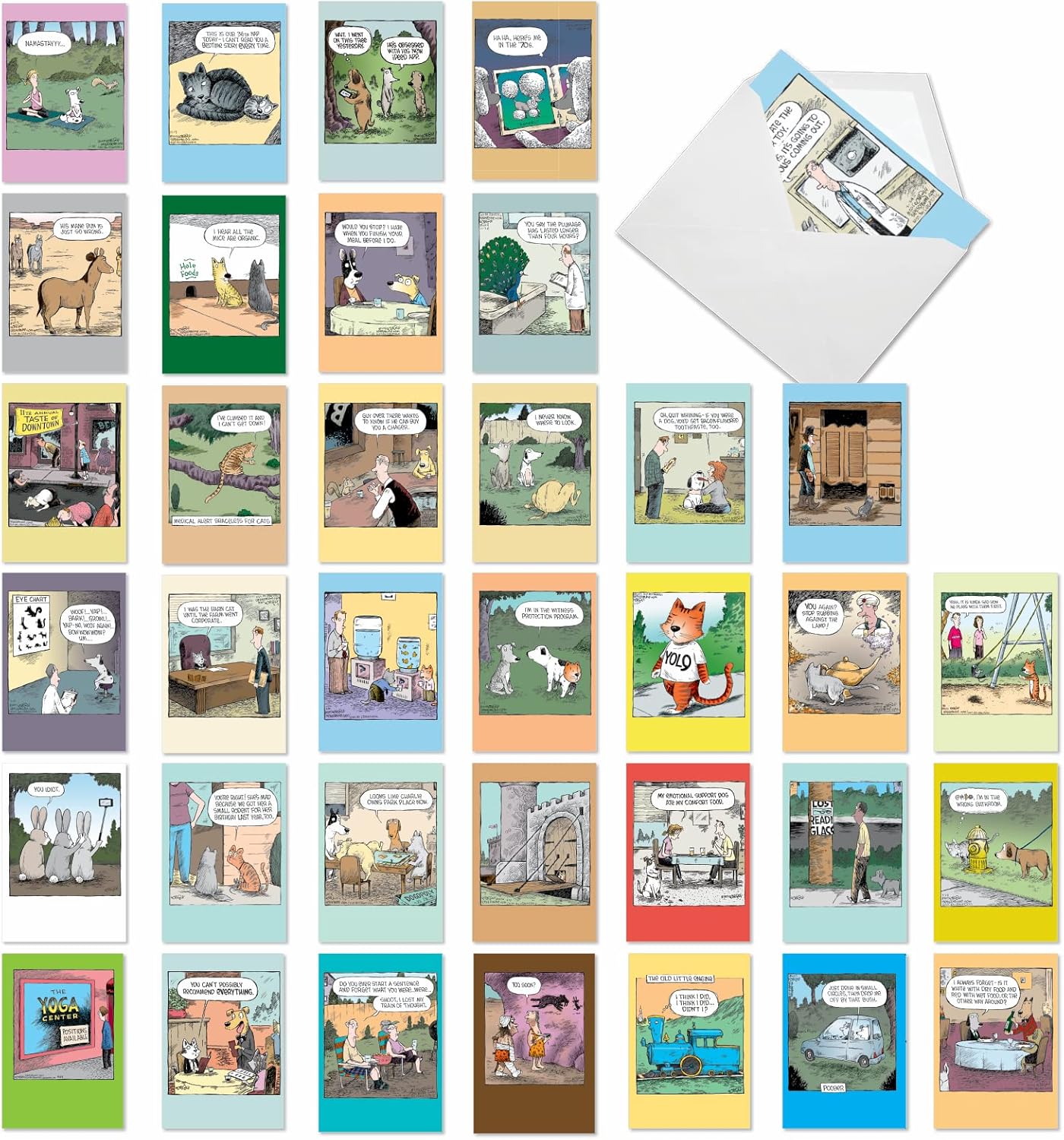 36 Assorted Funny Birthday Cards for Adults - Humor Variety Pack