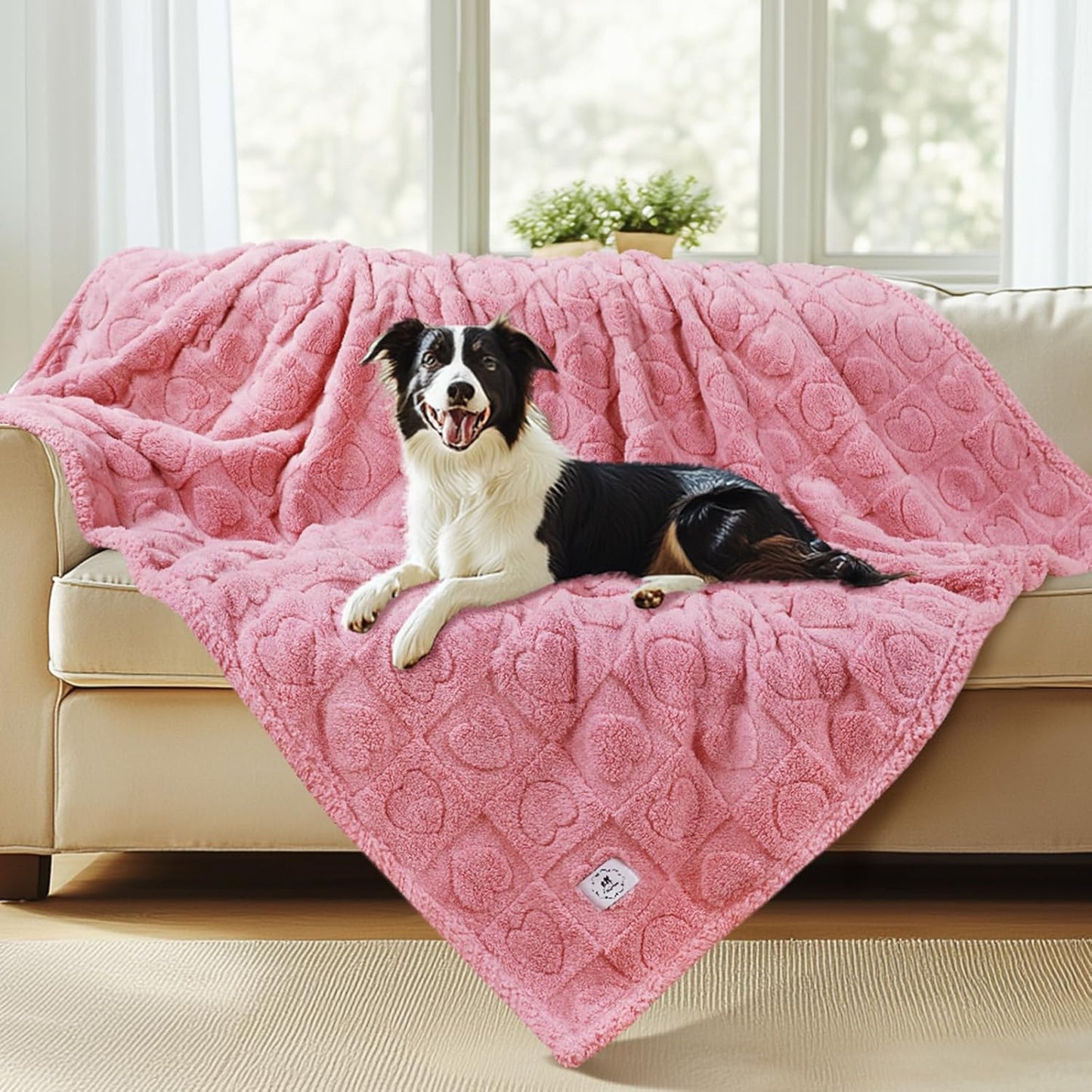 Waterproof Dog Blanket for Medium Large Dogs by Luciphia