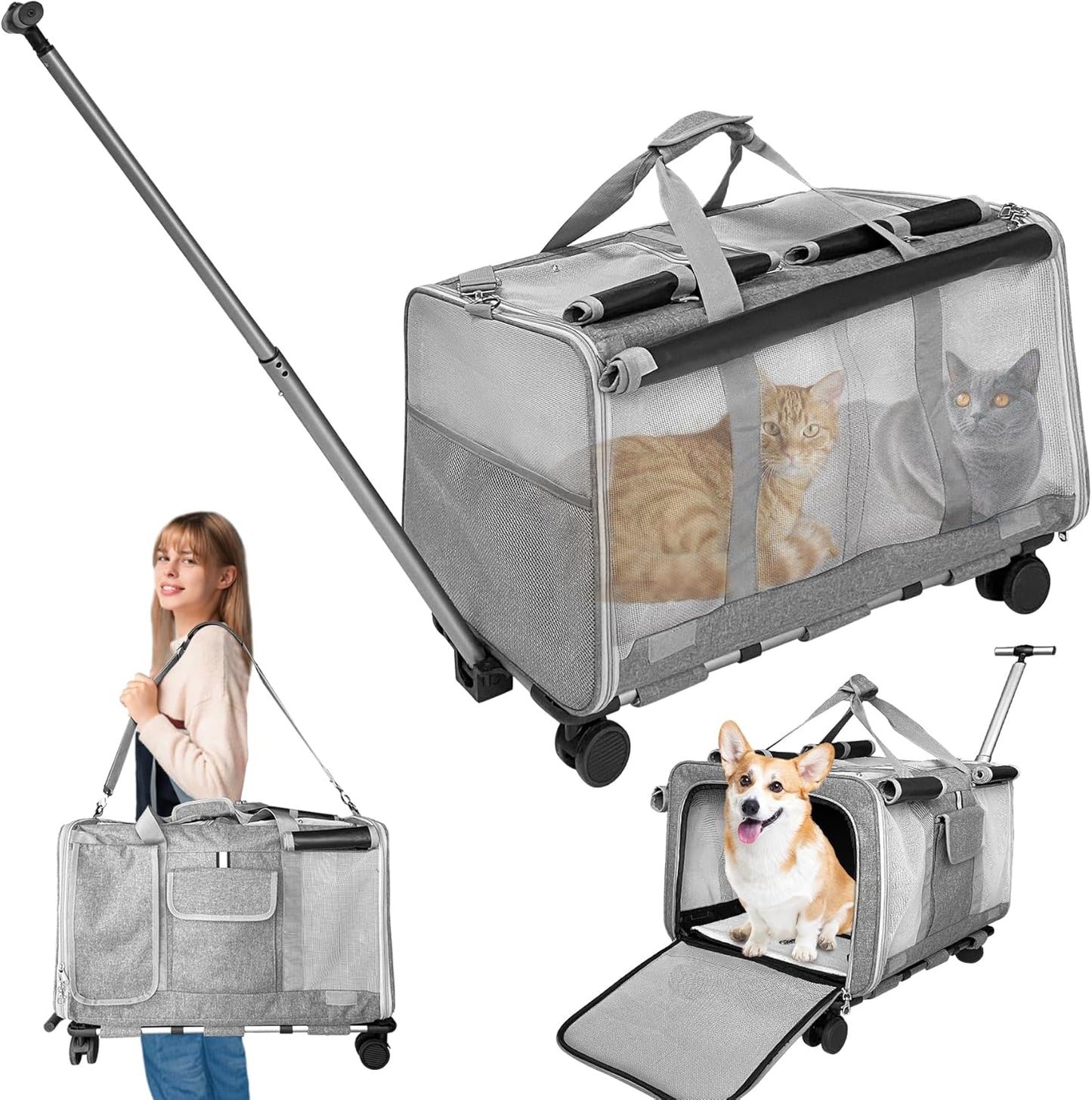 L&W BROS. Double Cat Carrier with Wheels for Easy Travel