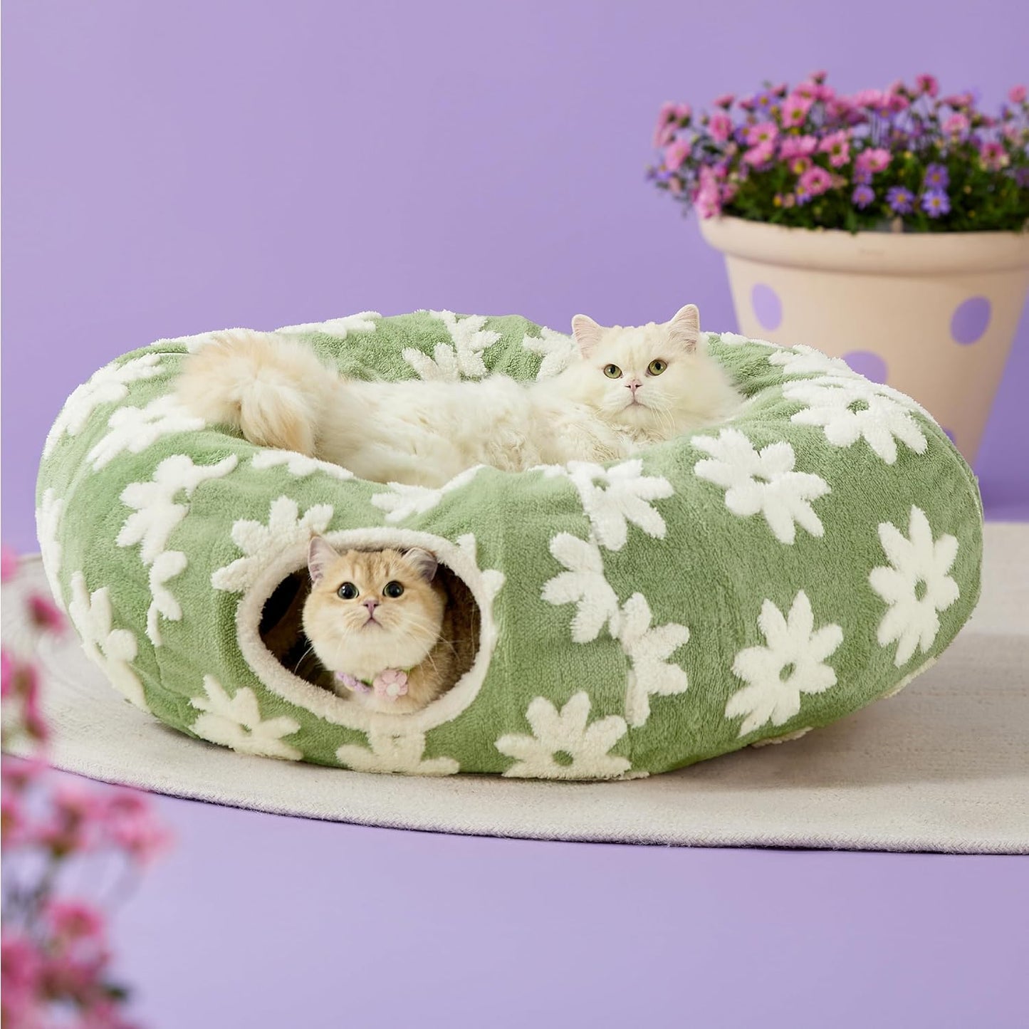 Lesure Cat Tunnel Bed - Cozy 2-in-1 Play and Rest Solution