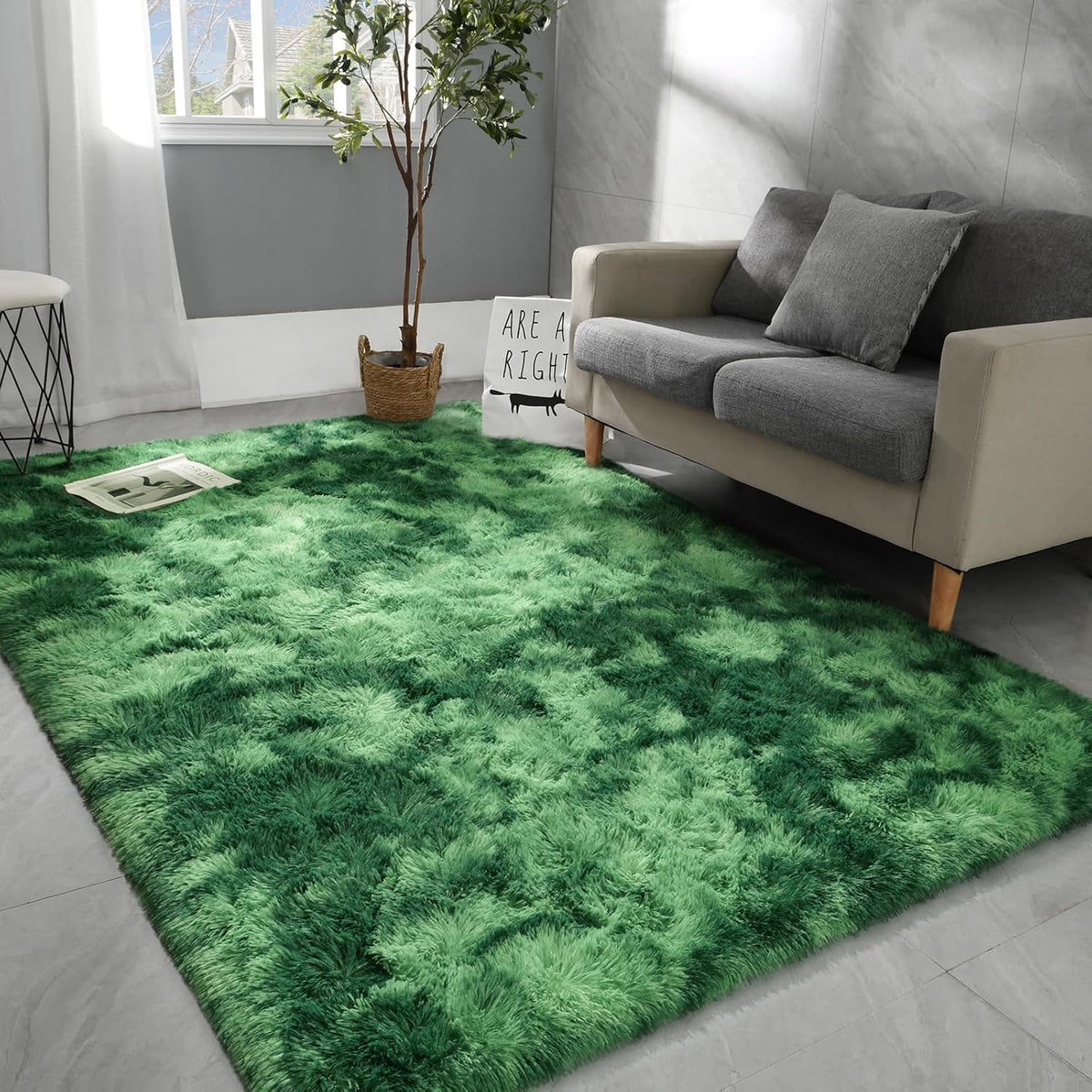 Hutha 6x9 Large Area Rugs for Living Room, Soft Fluffy Design