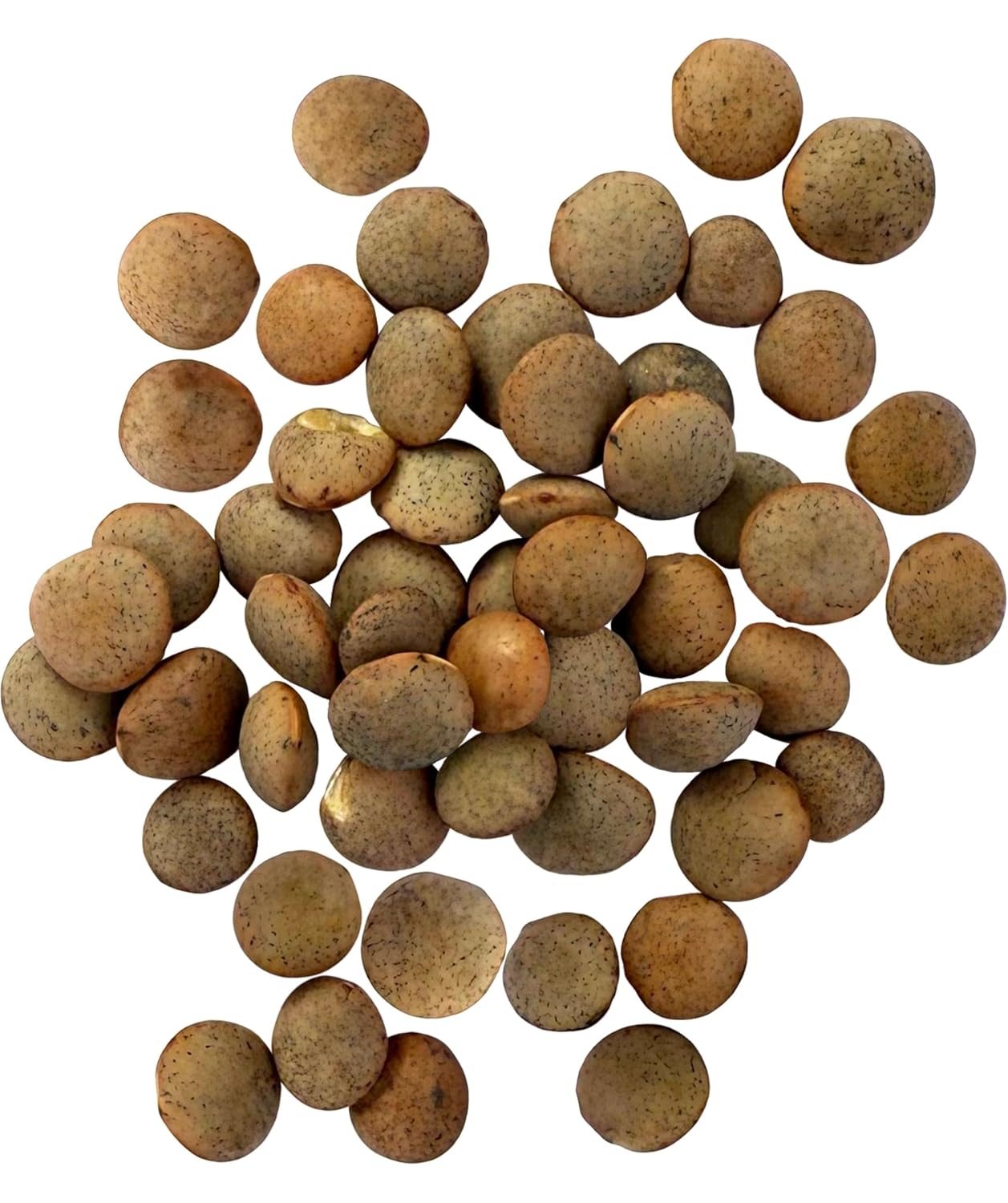 Certified Glyphosate Residue Free Small Brown Dry Lentils 18 LBS