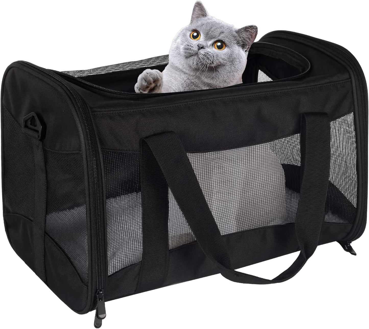 Cat Carrying Case - Portable Airline Approved Pet Carrier