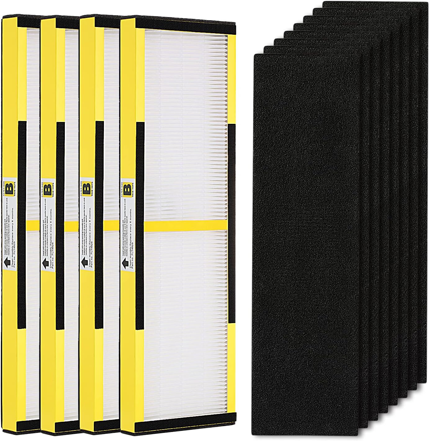 FLT4825 HEPA Filter B Replacement with Activated Carbon Pre-Filters
