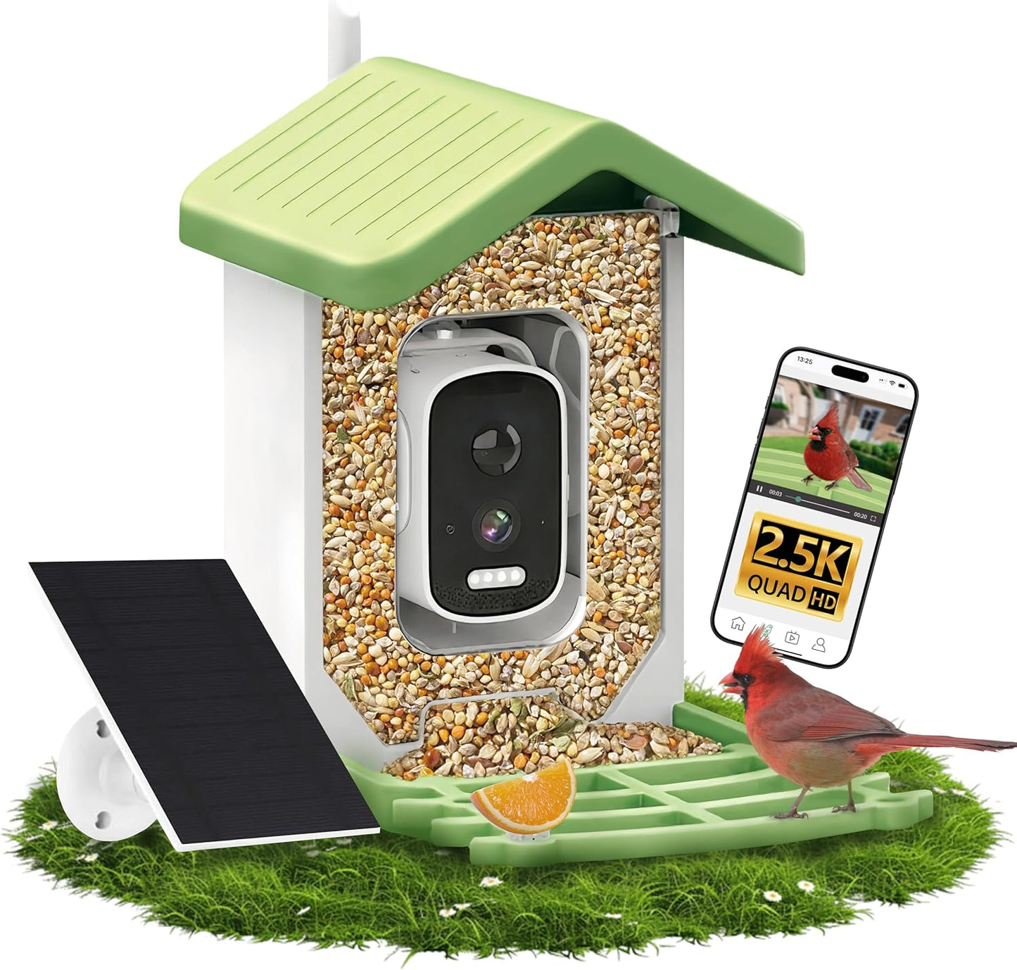 Smart Bird Feeder with Camera for Bird Lovers and Enthusiasts