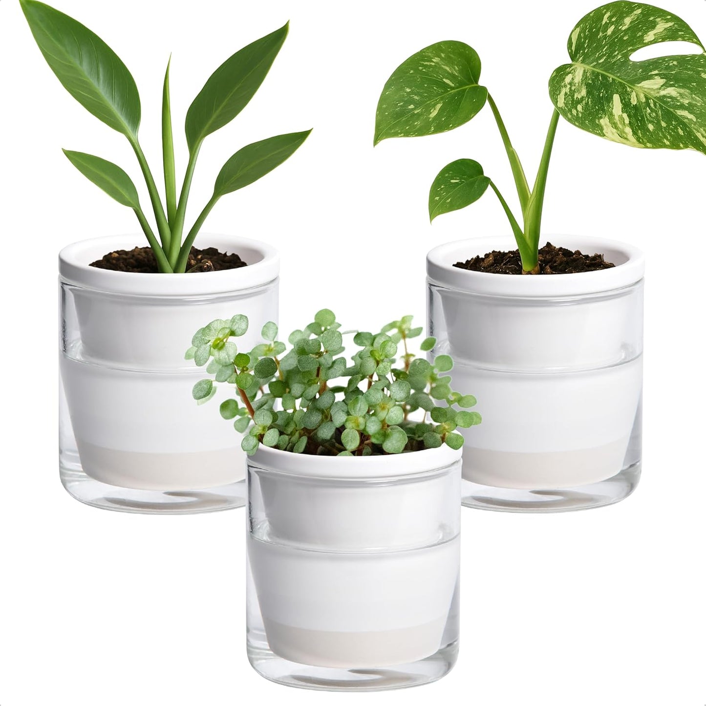 D'vine Dev 4 Inch Self Watering Planter Set of 3 for Indoor Plants