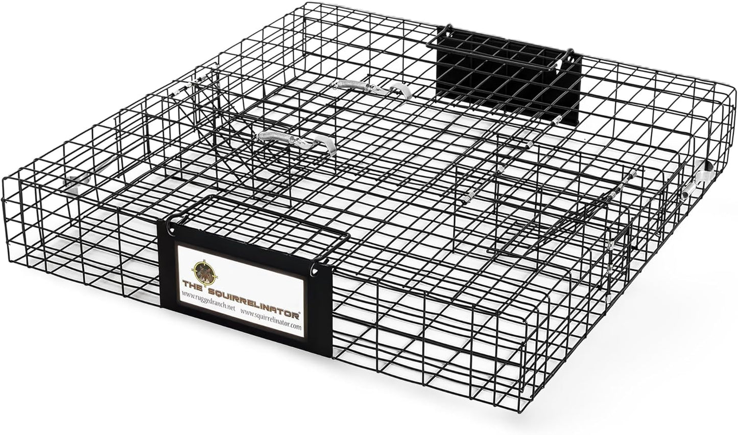 Rugged Ranch Squirrel Trap - Humane Catch & Release Cage