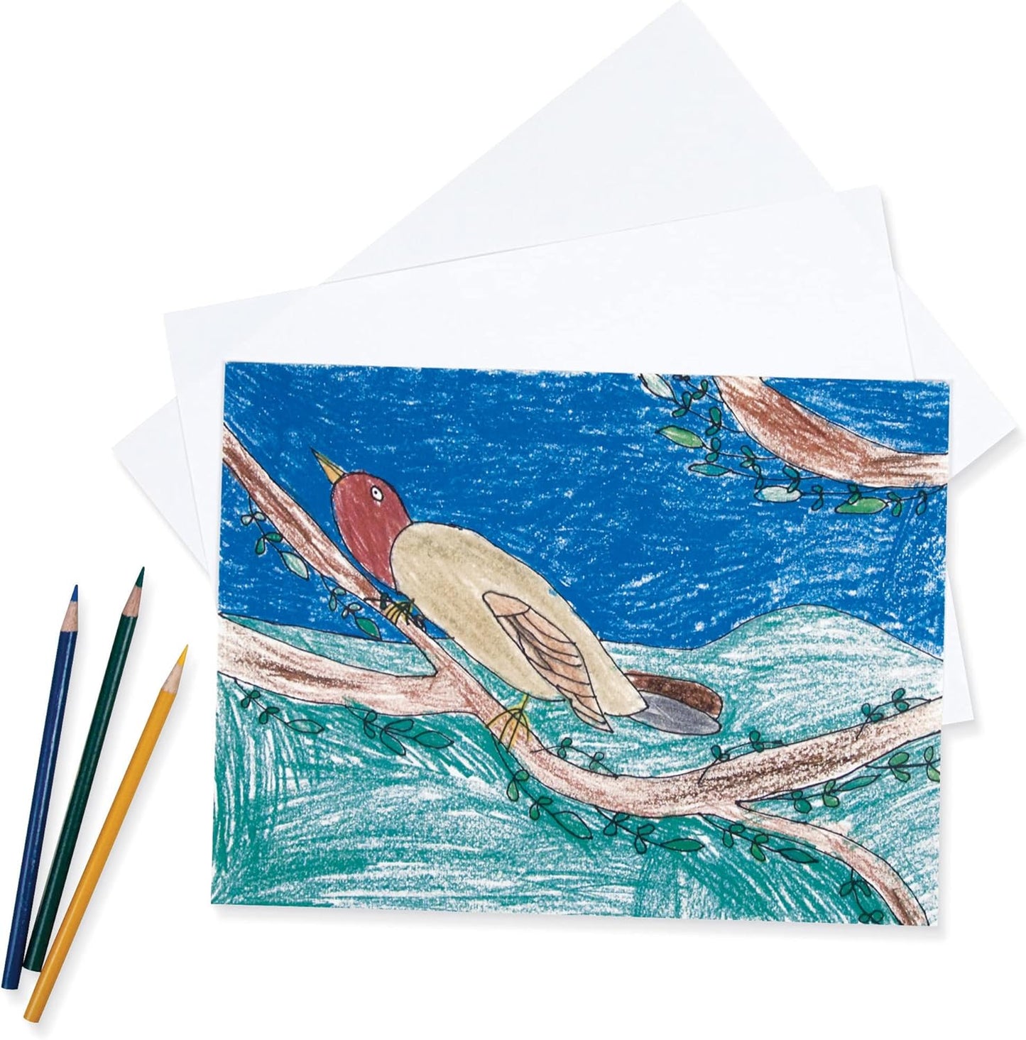 Pacon Drawing Paper - Medium Weight 12in x 18in for Artists