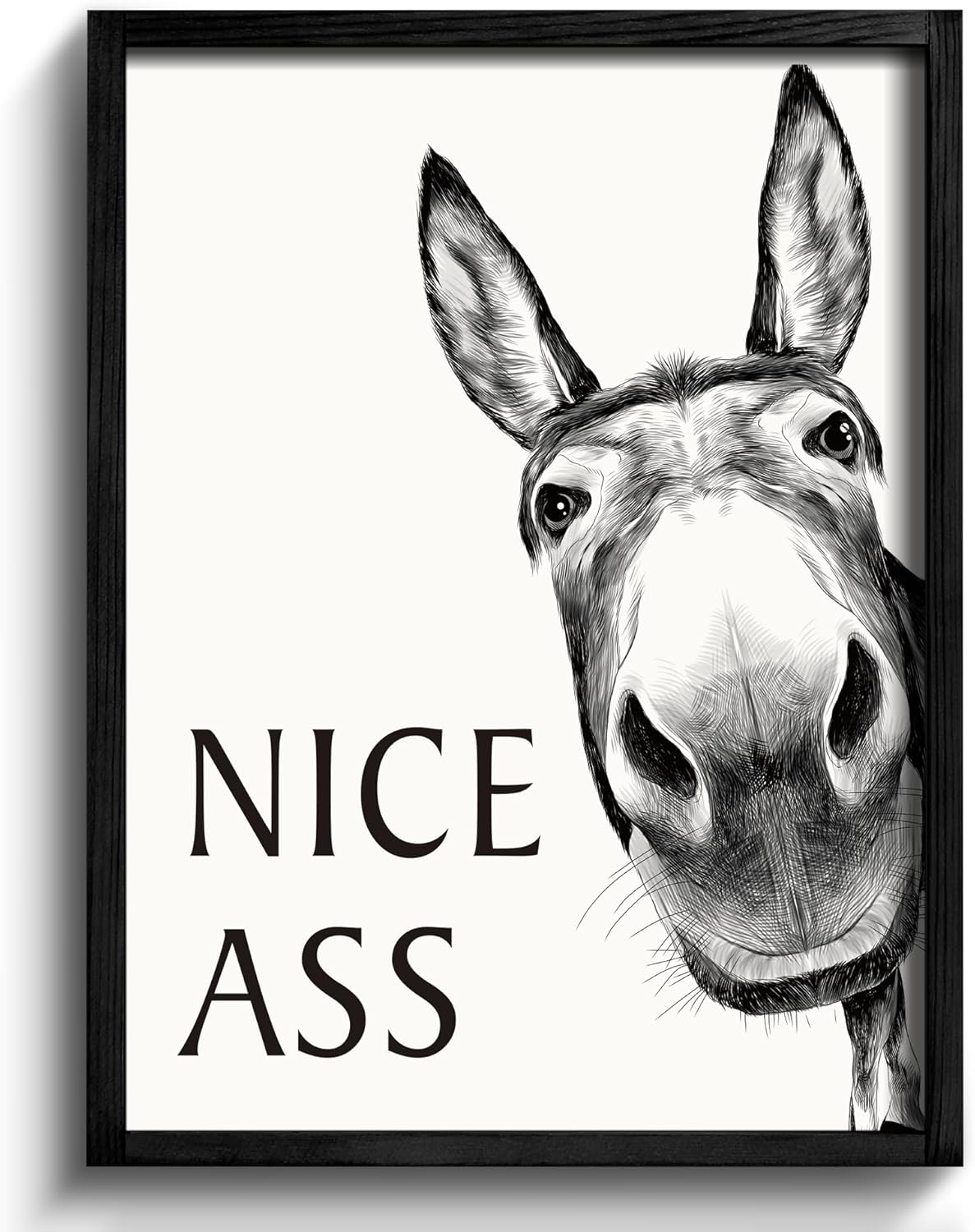 Funny Bathroom Wall Art Decor - Vintage Donkey Prints 16x20