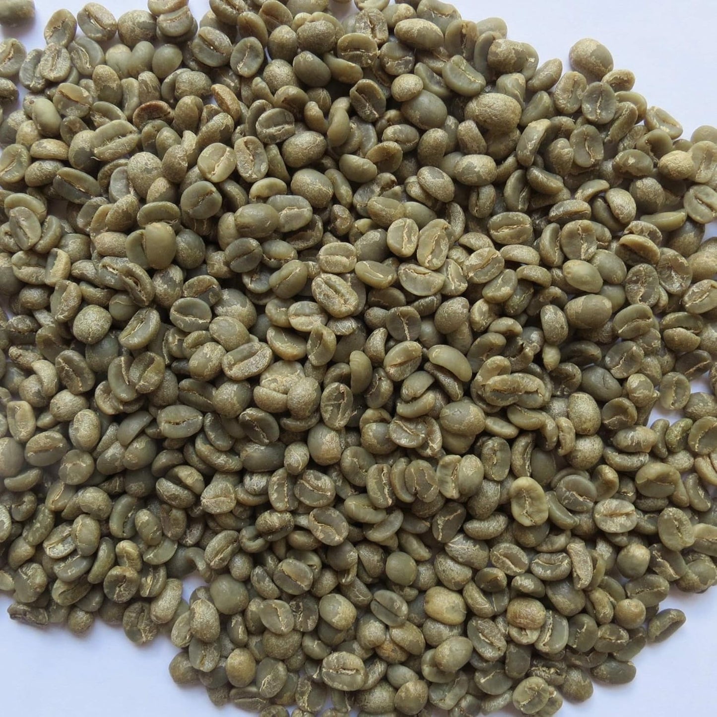 10 Lb Specialty Grade Unroasted Green Coffee Beans from Nicaragua