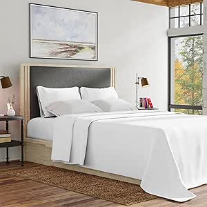 Purity Home Organic Cotton Queen Size Bed Sheets for Comfort