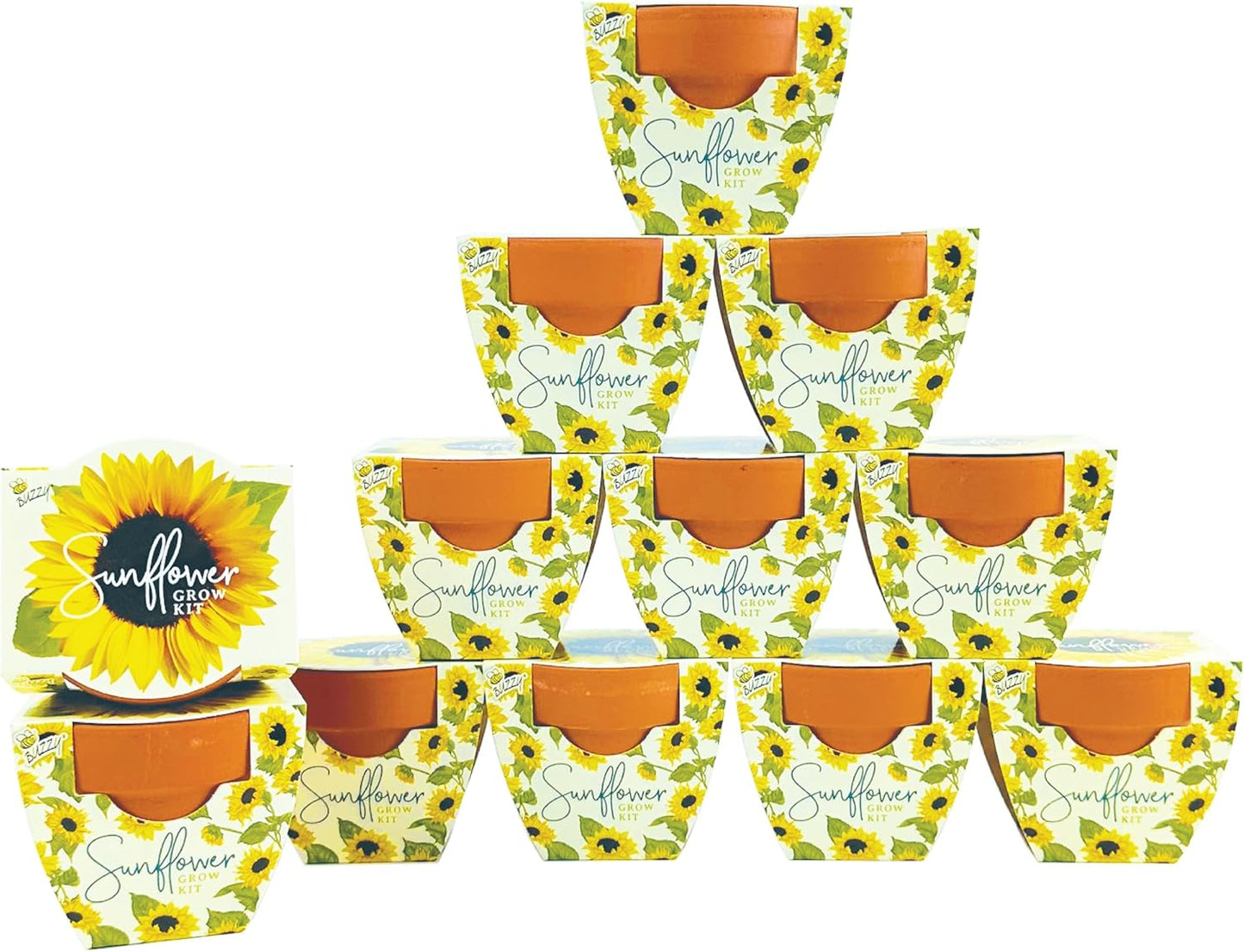 Sunflower Mini Terracotta Pot Grow Kits for Indoor Gardening