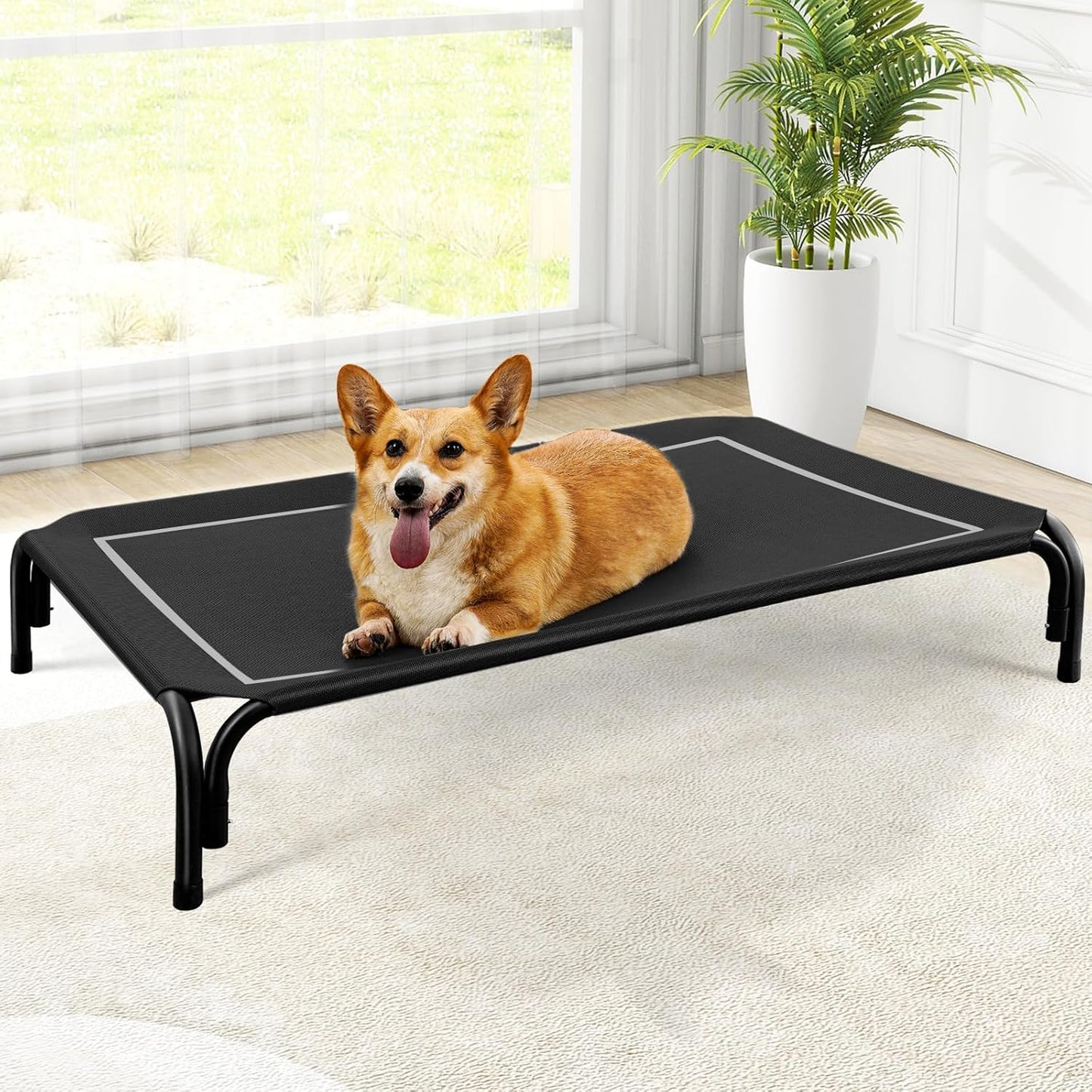 Elevated Dog Bed for Medium Dogs - Portable Cooling Pet Cot