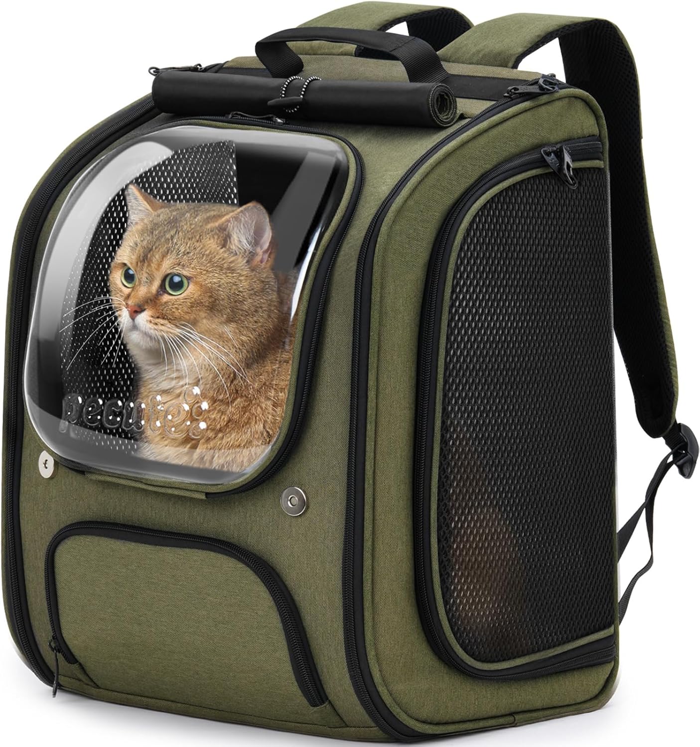 Pecute Cat Backpack Carrier for Travel and Hiking, Green